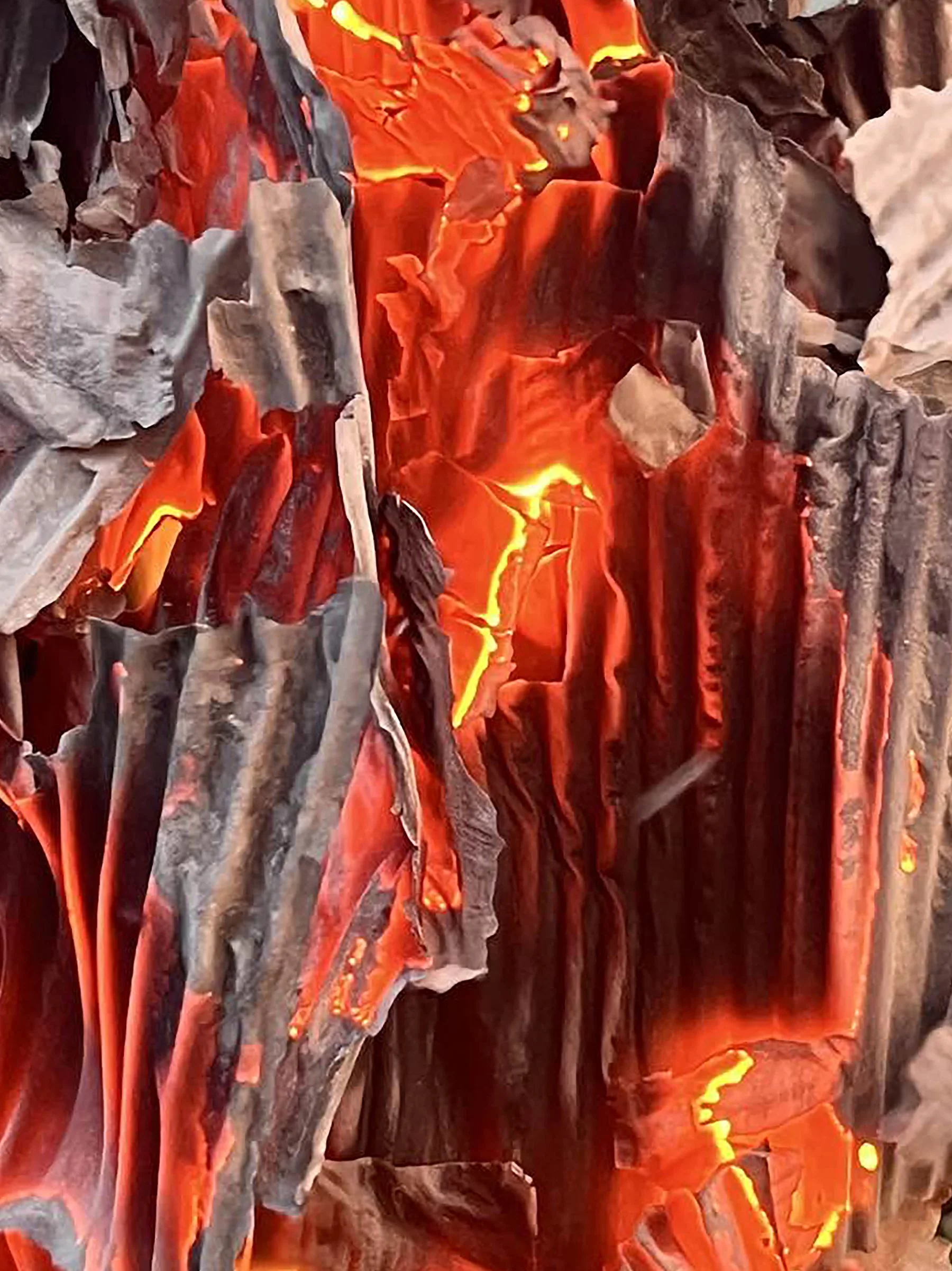 Fire Art 02 by Truxton Meadows. Photography. $50. 