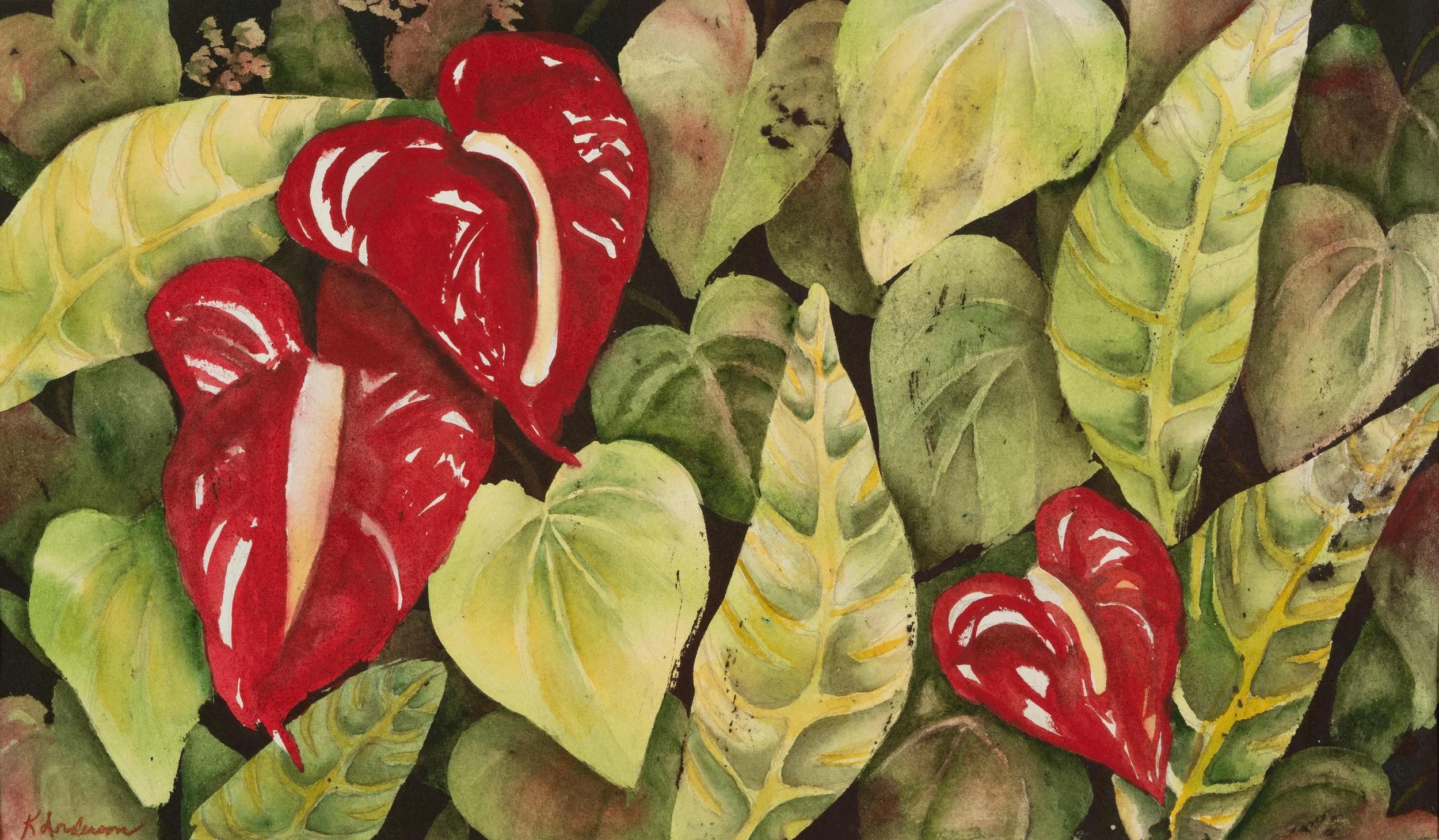 Hawaiian Jewels by Karin Anderson. Watercolor. $220.00