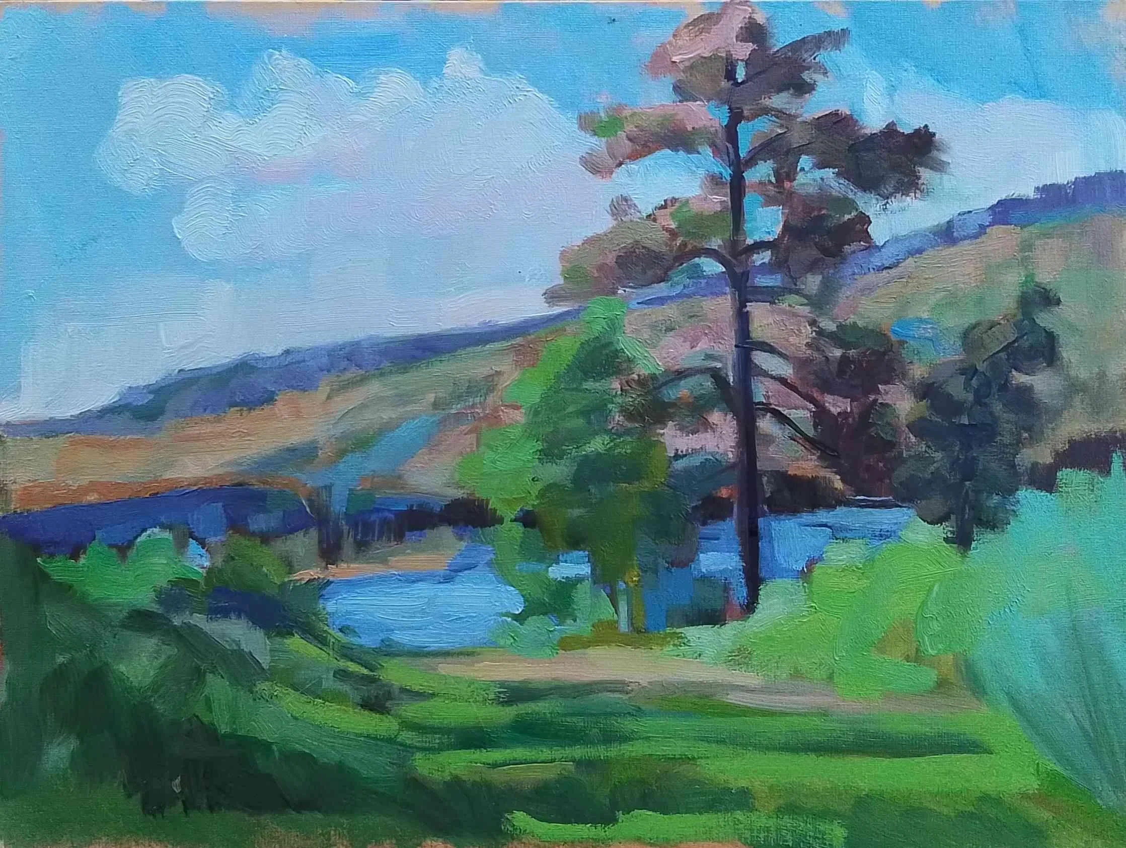 Cynthia Jeffrey. Cathing the Light. Oil. $250.00.