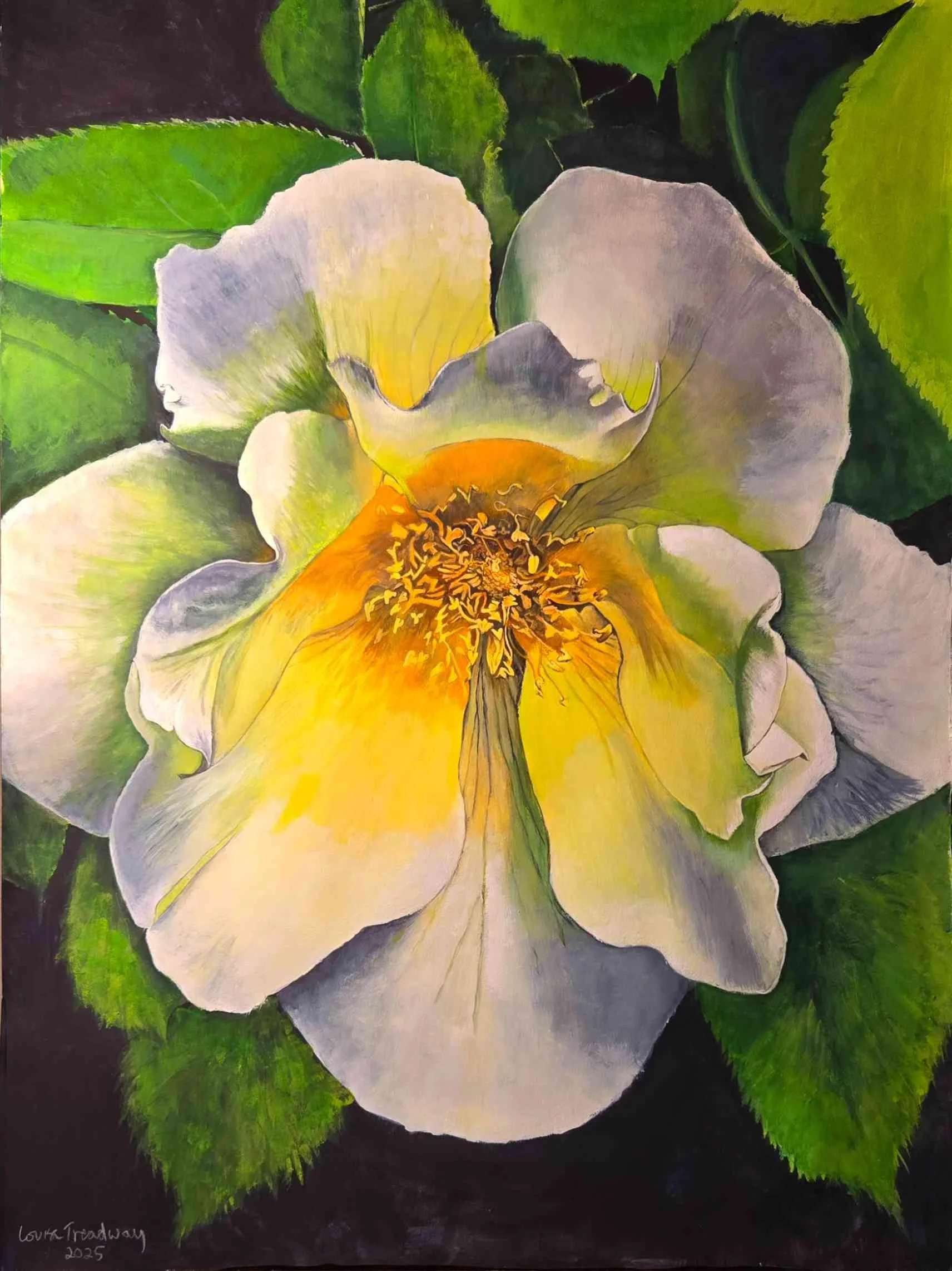 White Rose by Louise Treadway. Gouache. $750.00