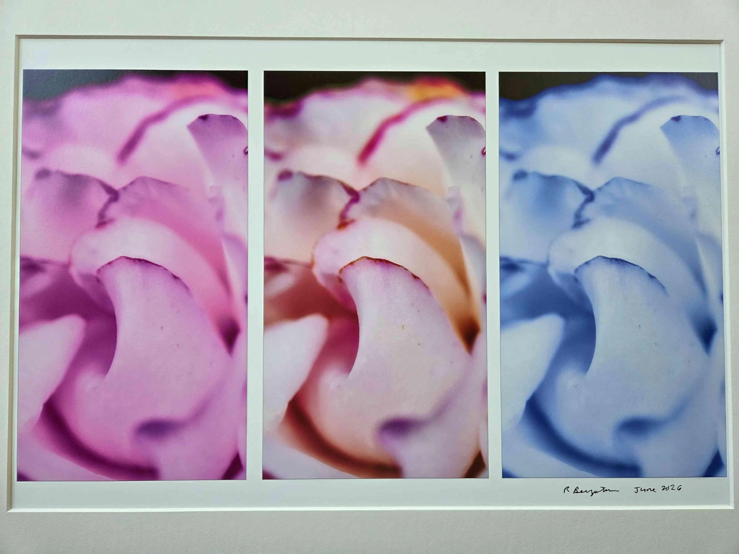 Soft Touch by Robert Bergstrom. Photography. $400.00.