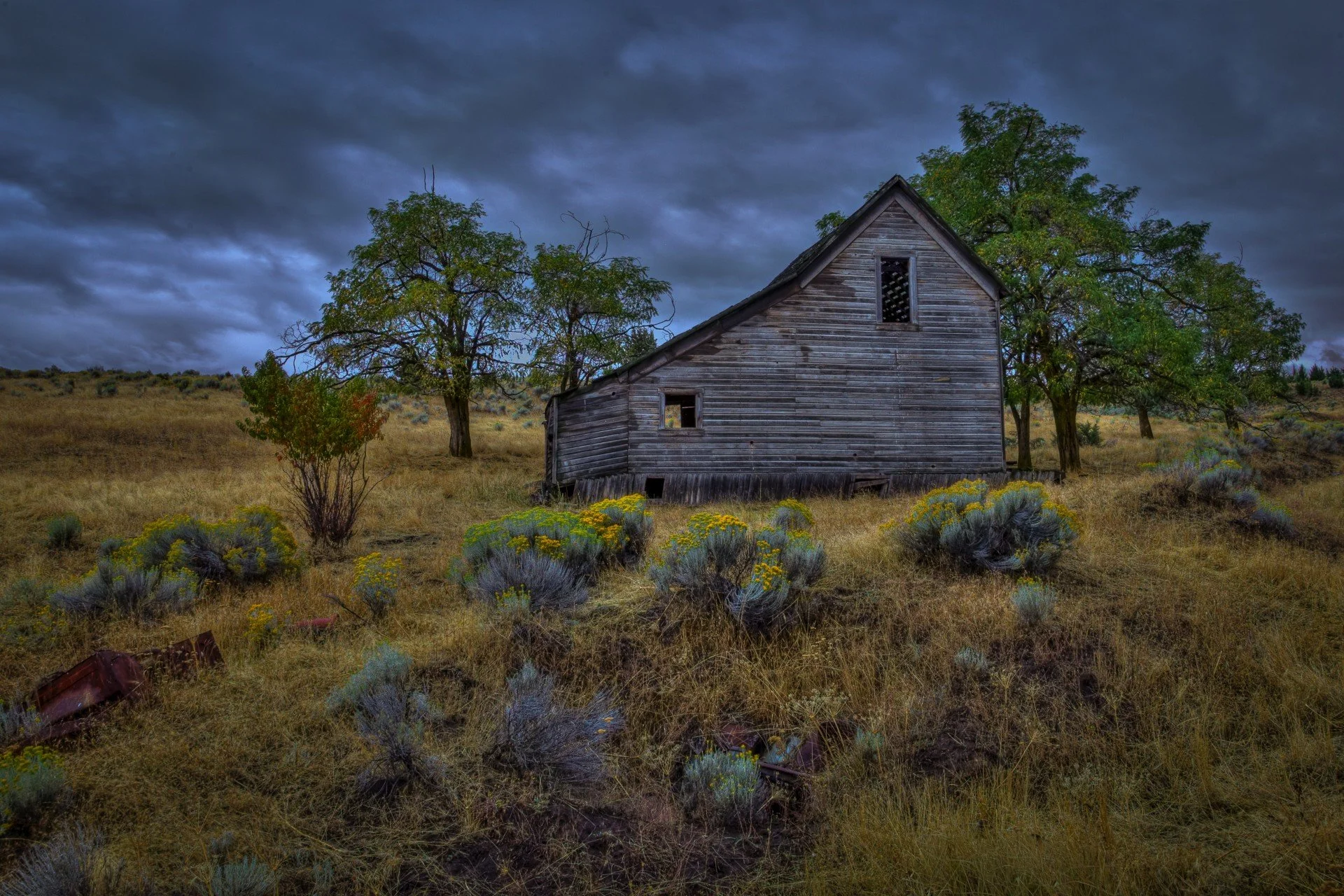 Pioneer Homestead. Central Oregon by Mark Fitzgerald. Archival Inkjet Print. $150. 