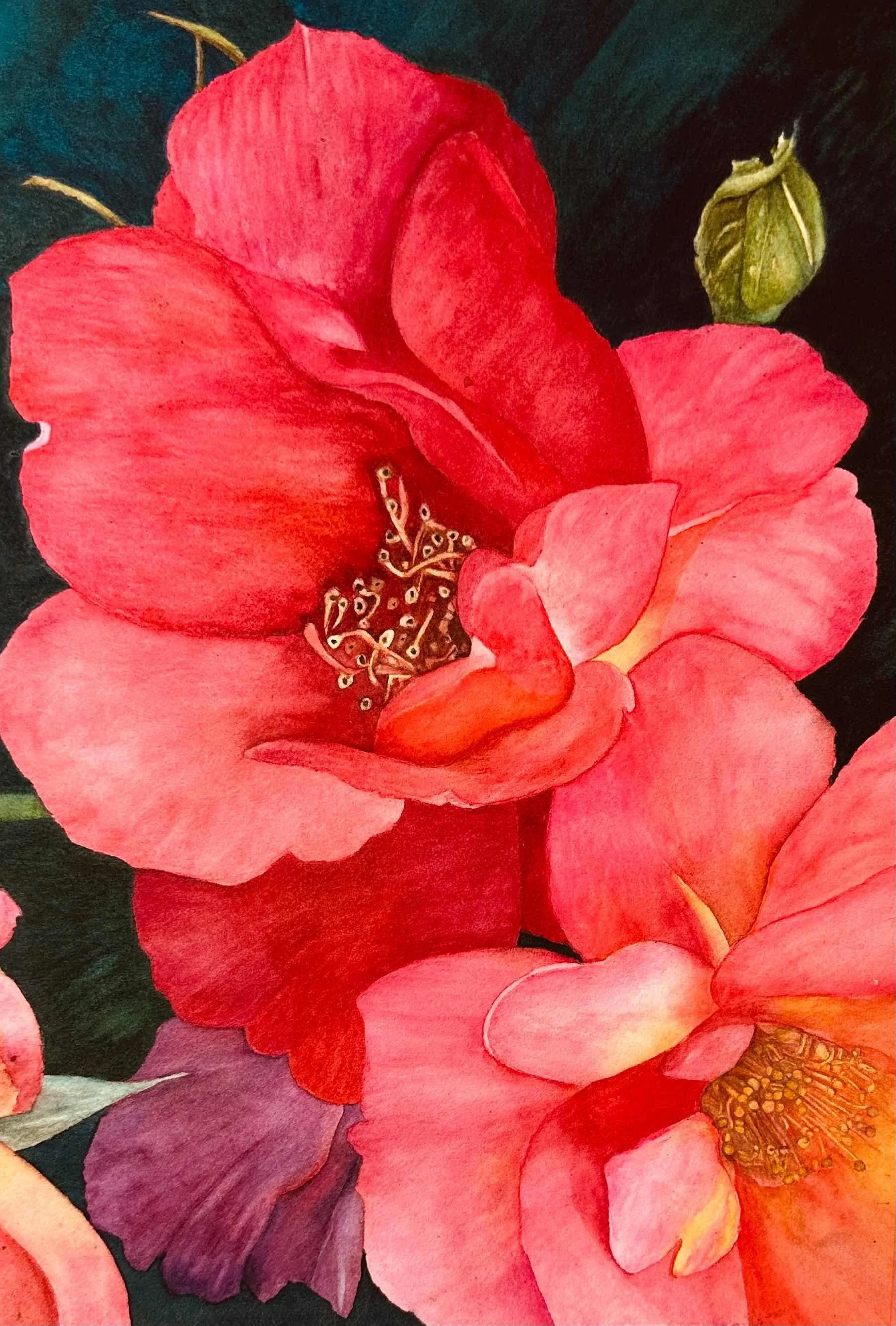 Joseph Coat Roses by Lynda Raven Brake. Watercolor. $395. 