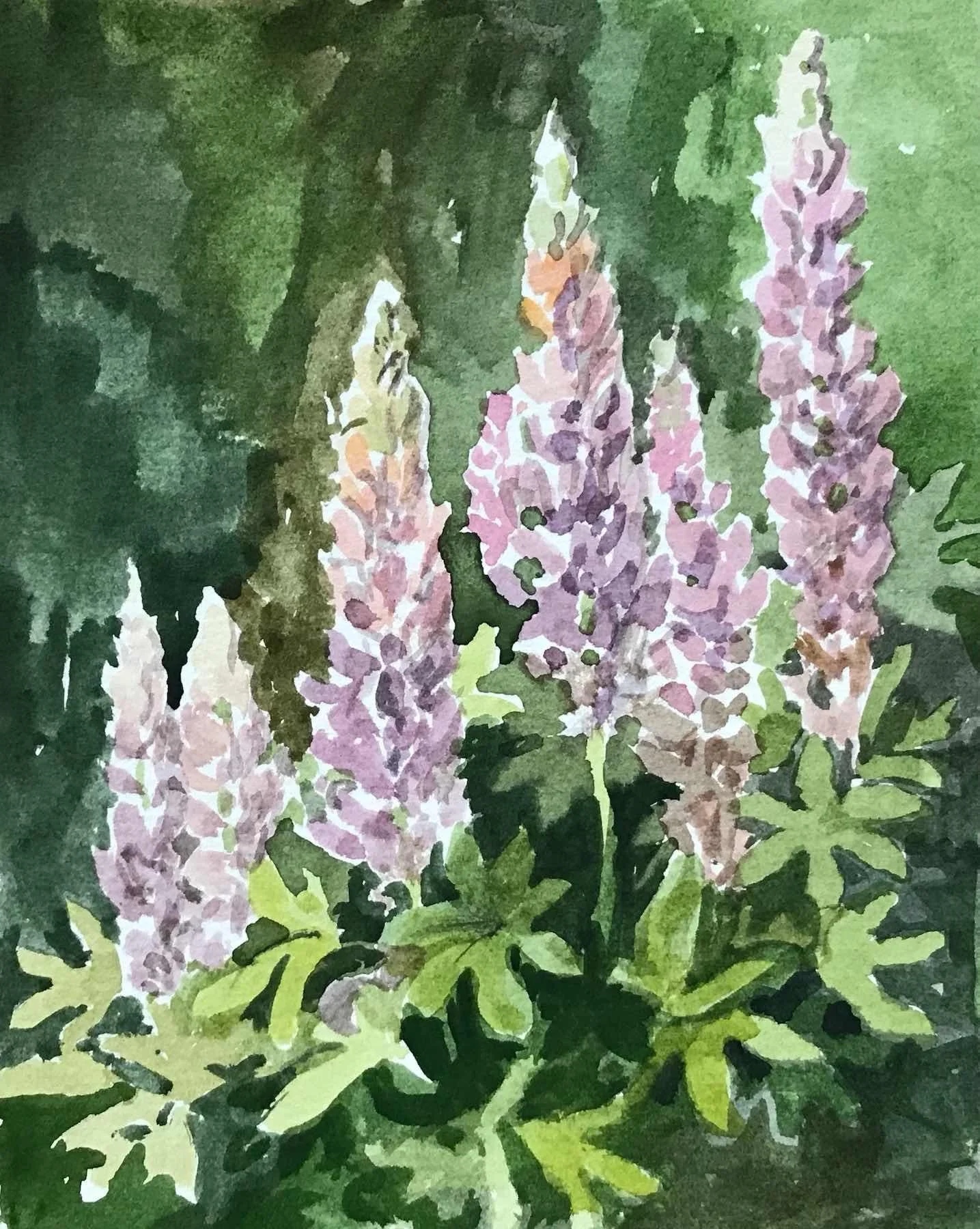 Lupine bny Christine Schulbach. Watercolor. $120.