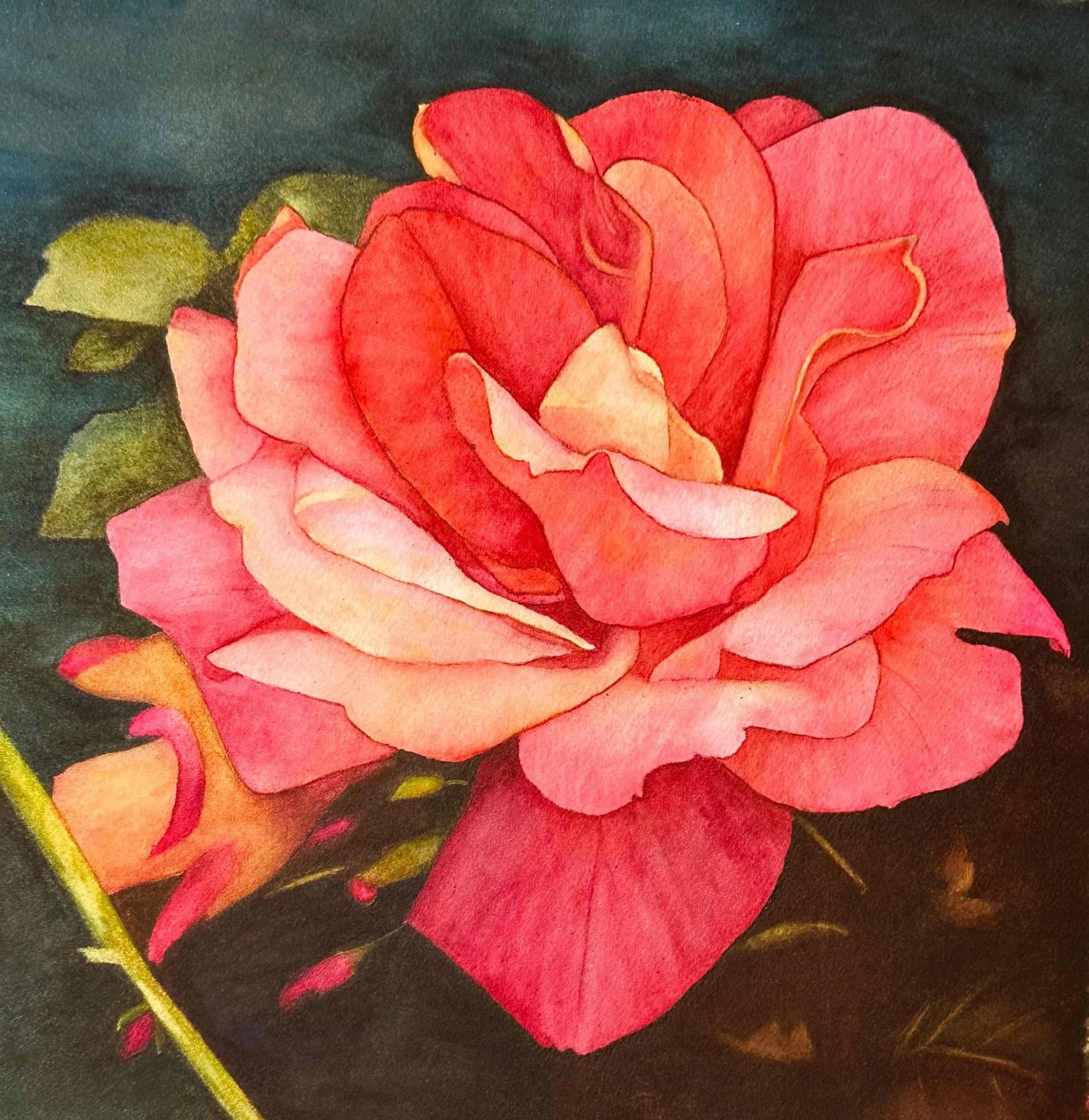 Joseph Coat Rose by Lynda Raven Brake. Watercolor. $350. 