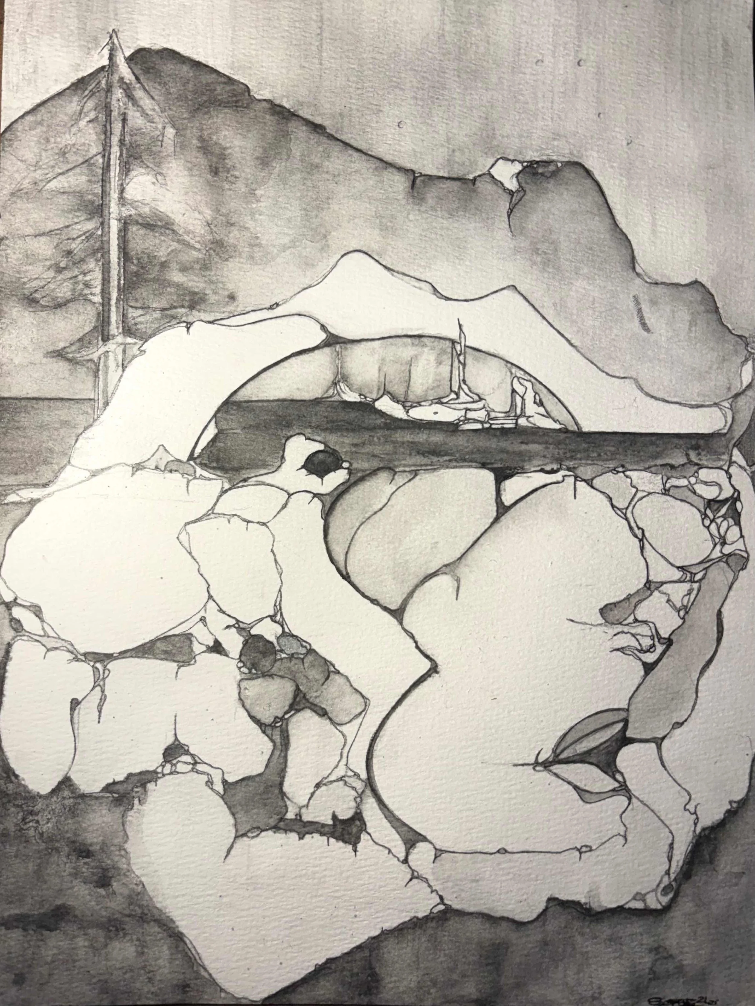 Rose City Unfolding by Sofie Smith. Graphite. $250. 