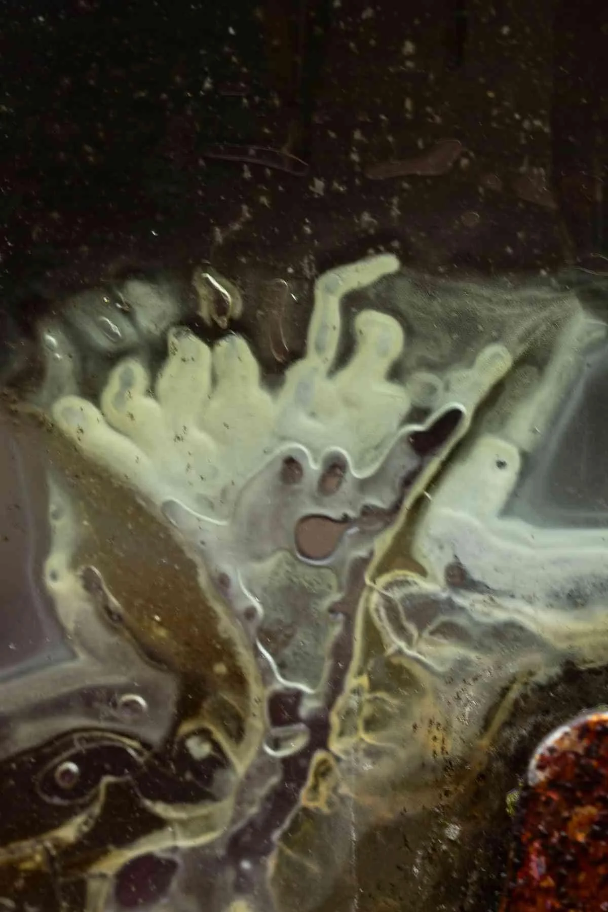 Scream by Joe Whittington. Photography. $200.00.