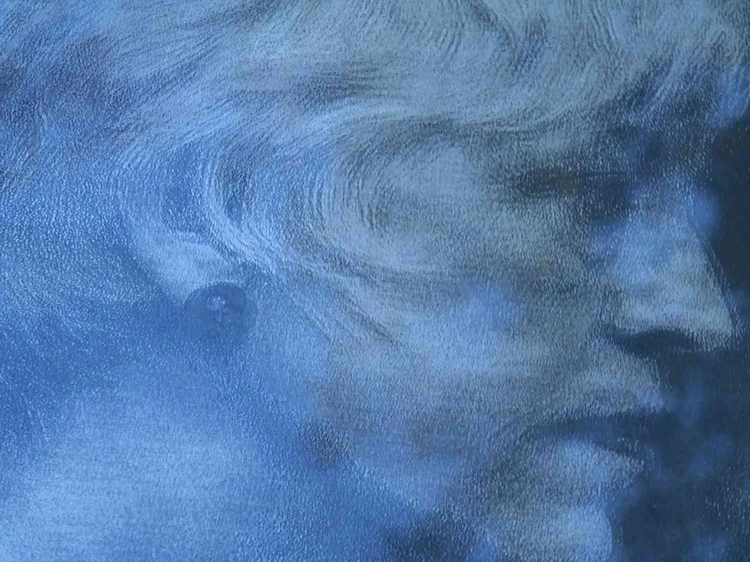 Reflection by Fretta Cravens. Photography. $200. 