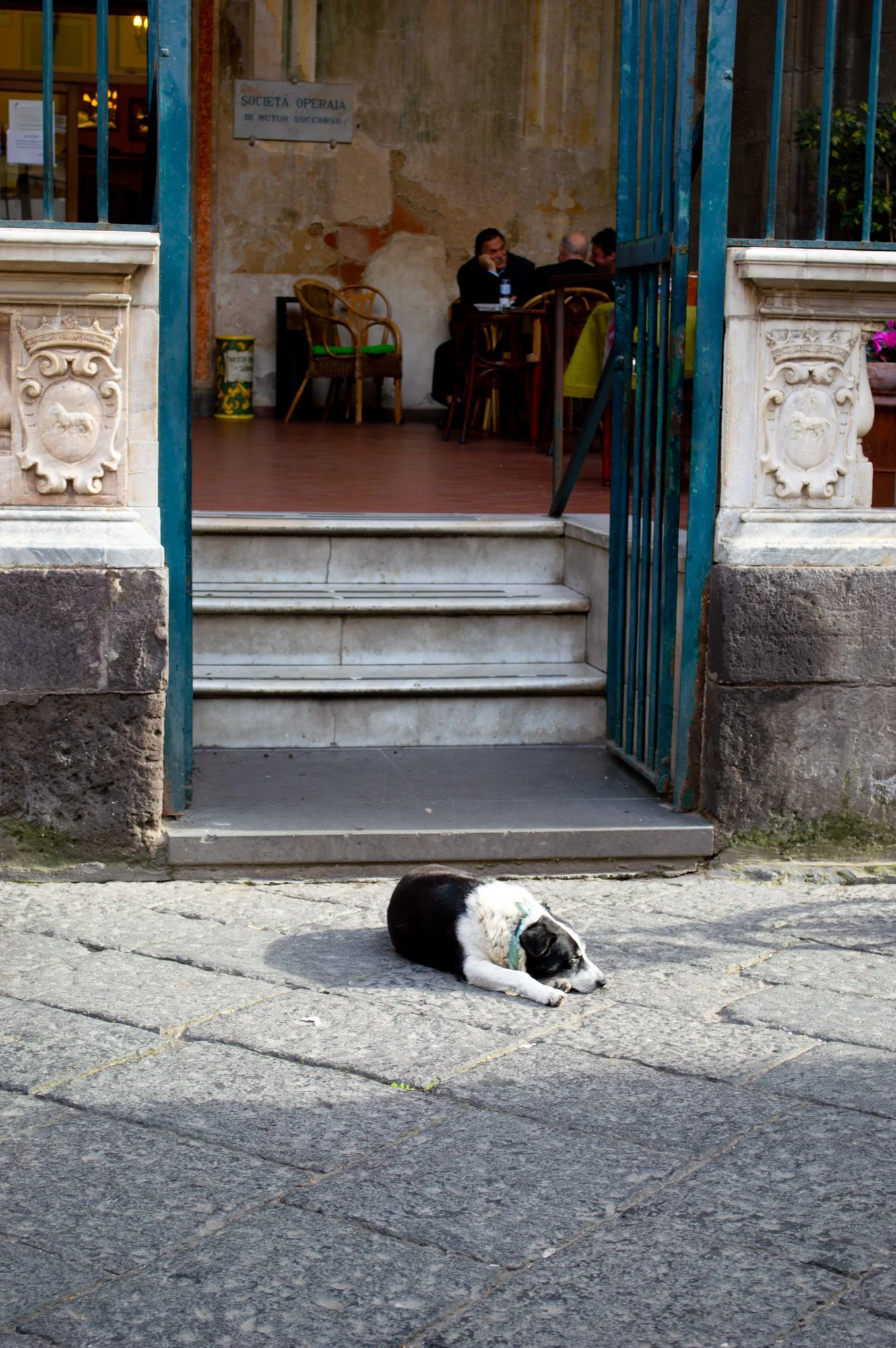 Afternoon Resting Hour by Kathy Radie. Photography. $230. 