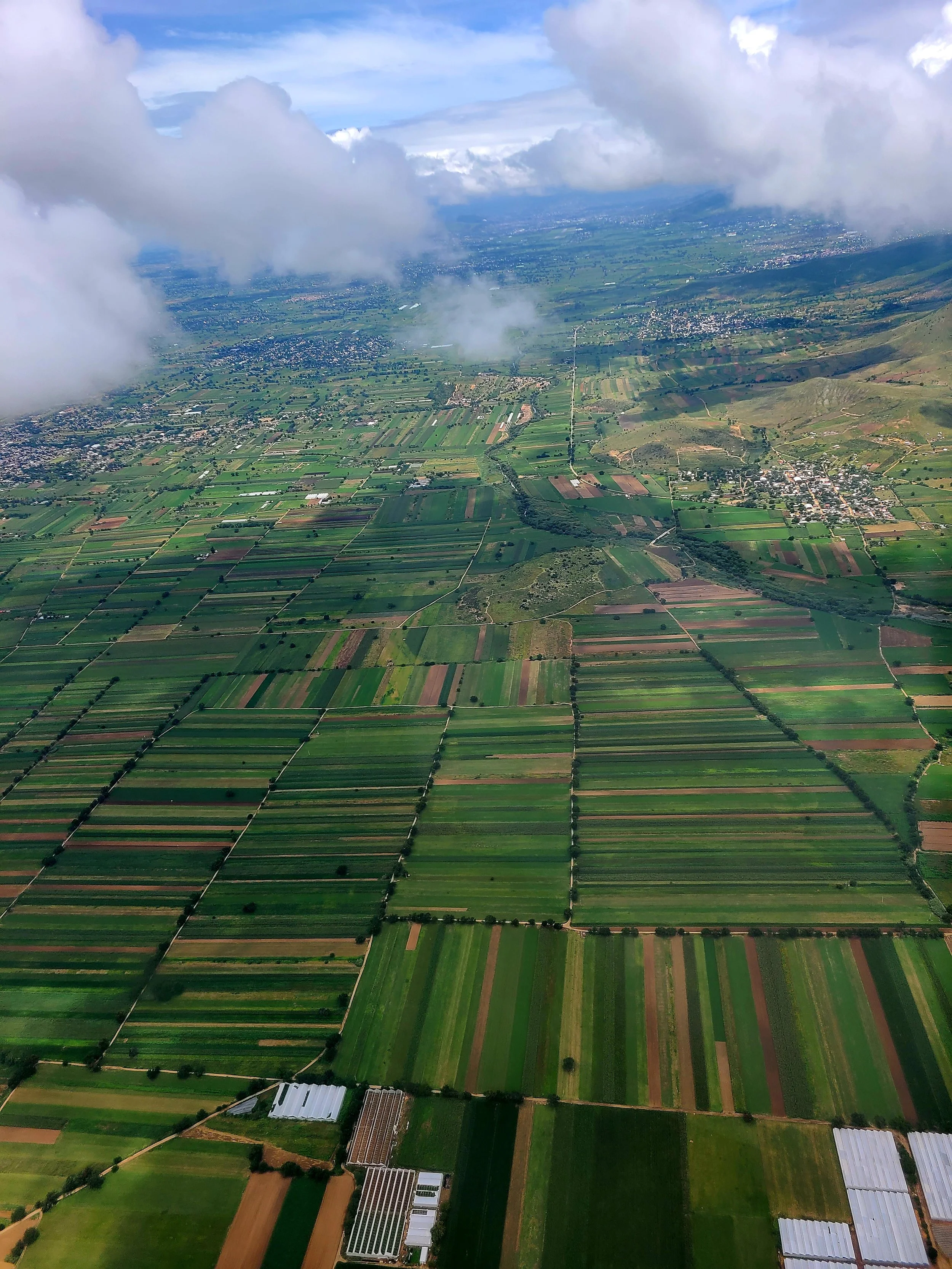 The Harvest by Guisy Ceballos. Photography. $500. 