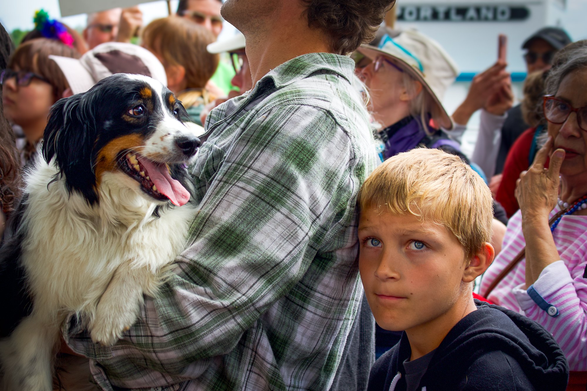 Boy and Dog by Steve Long. Giclee Print. $120.