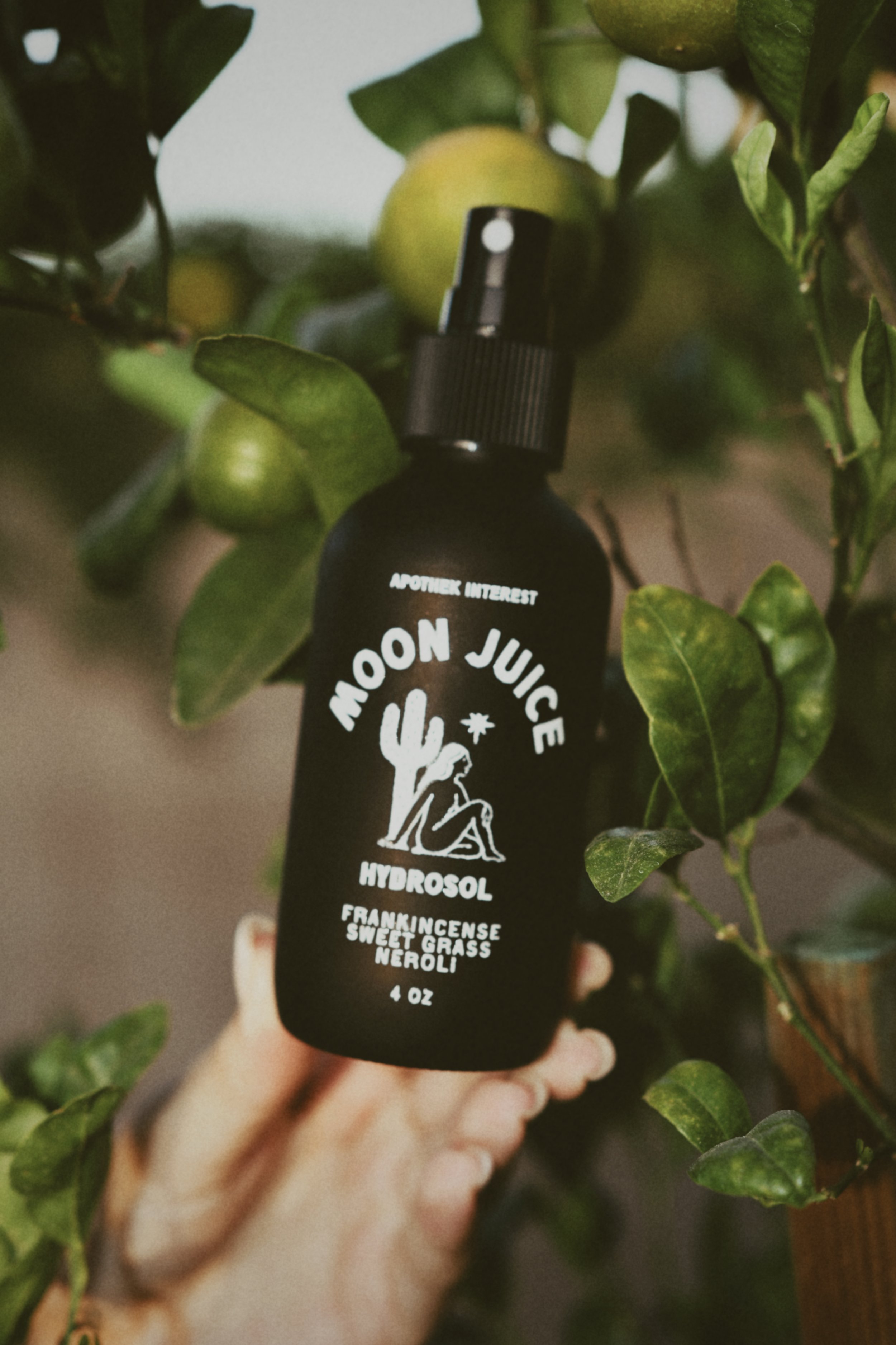 A hand holding a 4 oz bottle of Apothek Interest Moon Juice Hydrosol with frankincense, sweet grass, and neroli, against a background of green leaves and citrus fruit.