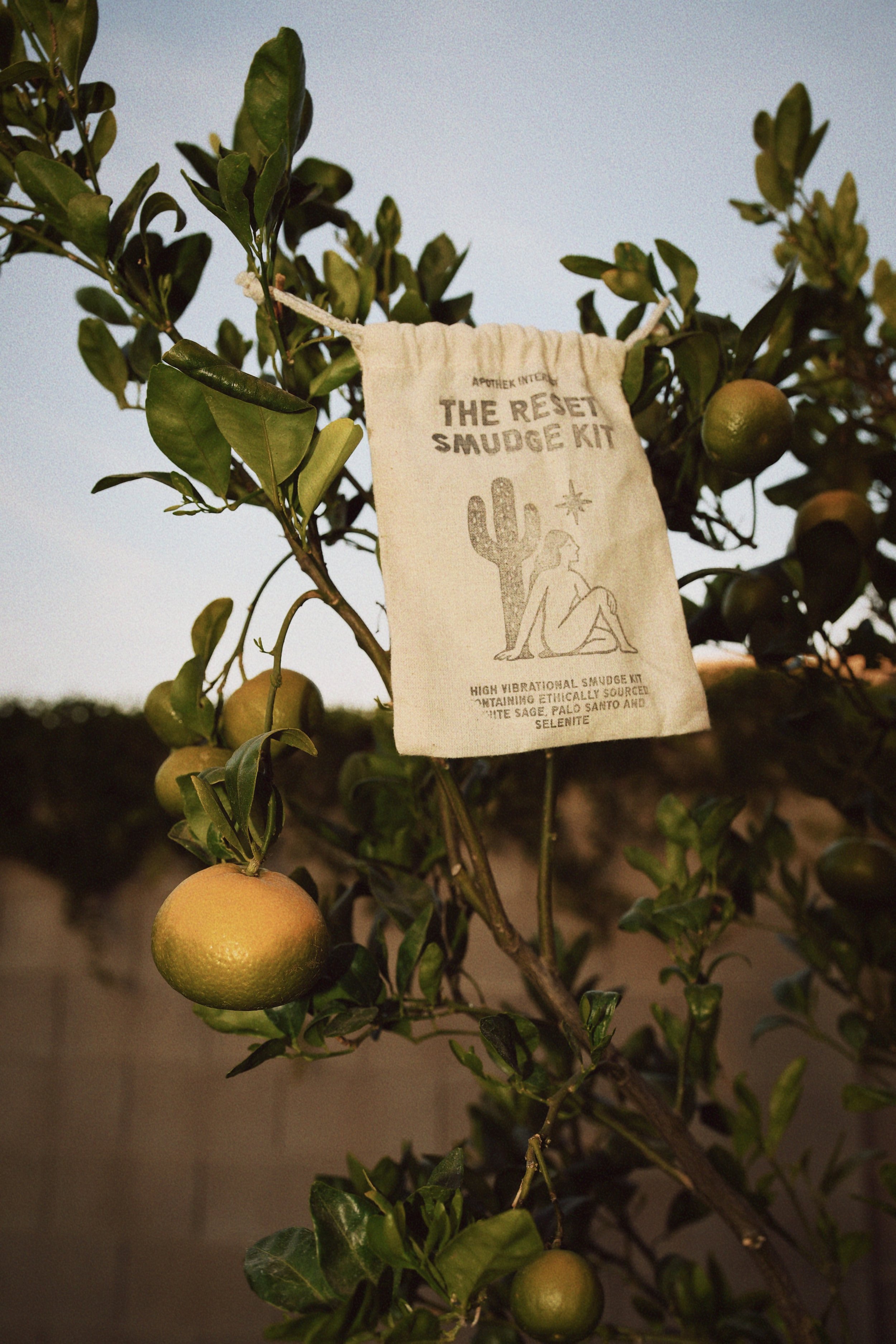 A citrus tree with green and yellow fruits, and a cloth bag hanging from a branch with text that reads 'The Reset Smudge Kit' and a drawing of a woman sitting next to a cactus. The background shows a clear sky and darkened soil.
