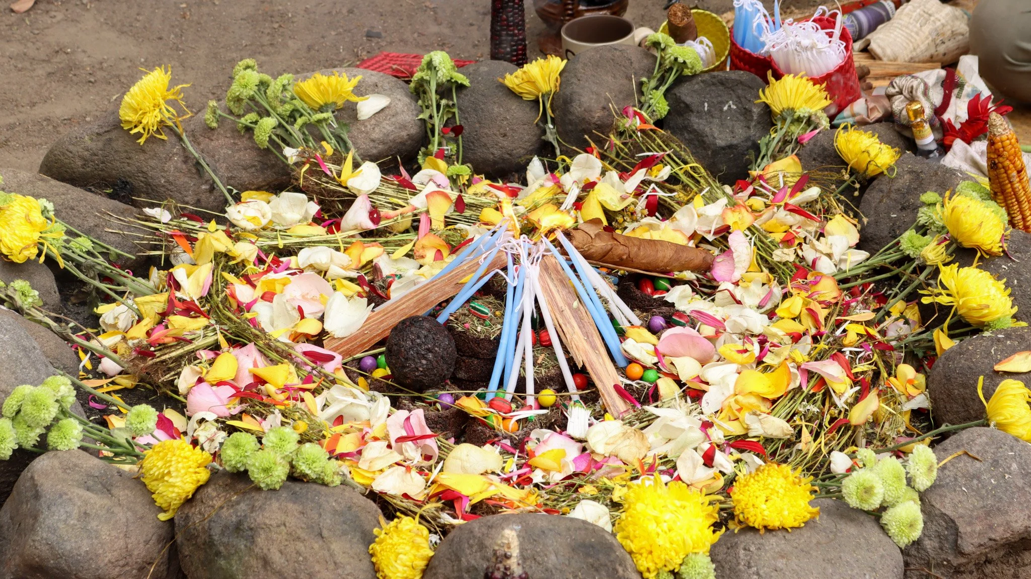🌽 Gathering Abundance: Yoga &amp; the Sacred Mayan Calendar 
