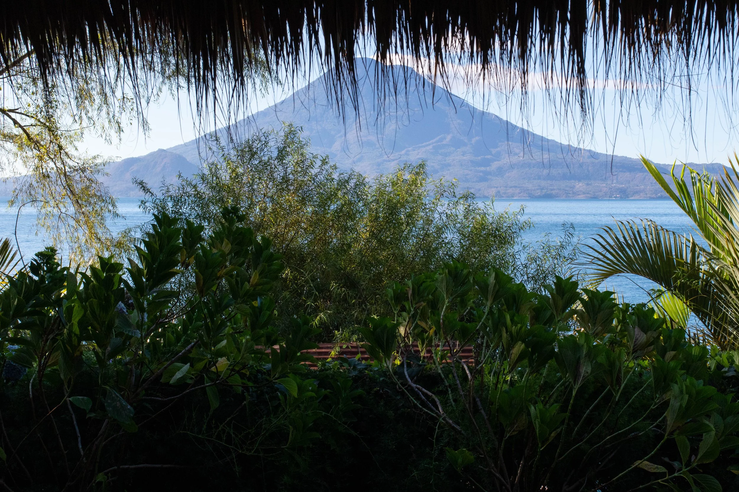 Maya Rose 3 - View .jpg