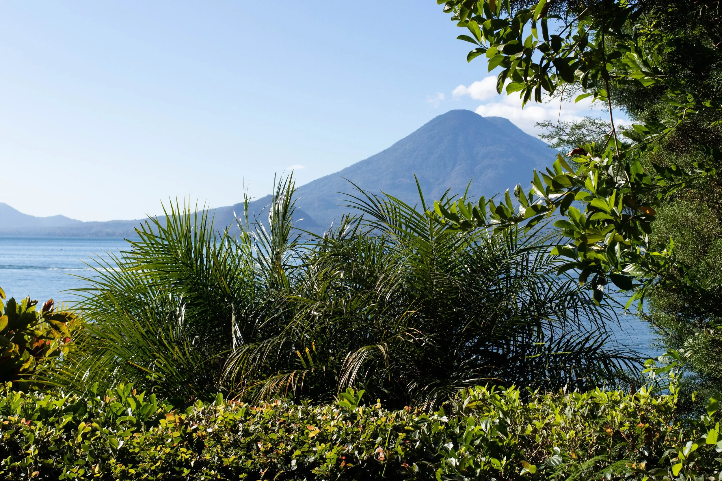 Maya Rose 7 - View .jpg