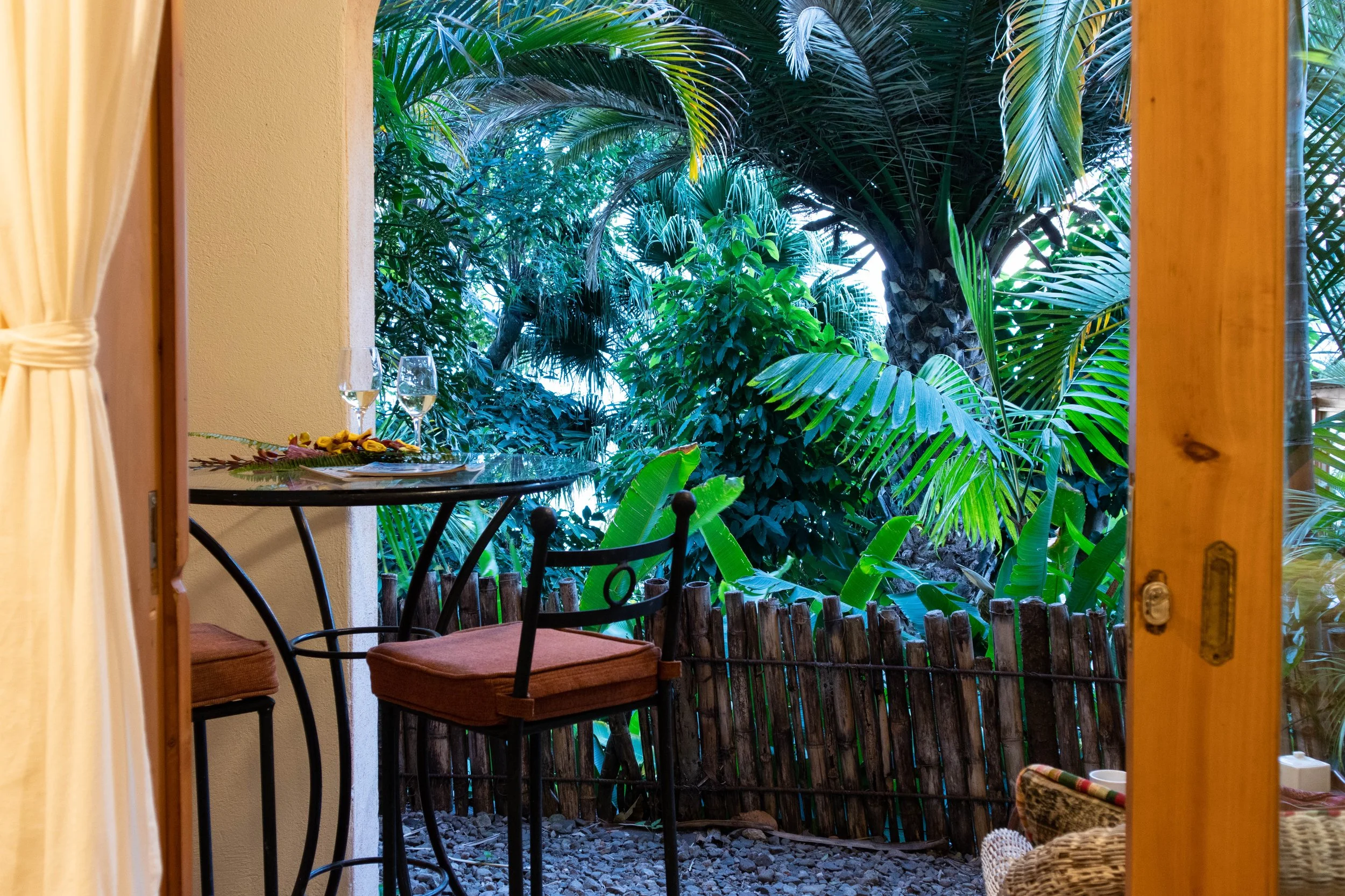 Lotus 11 - View .jpg