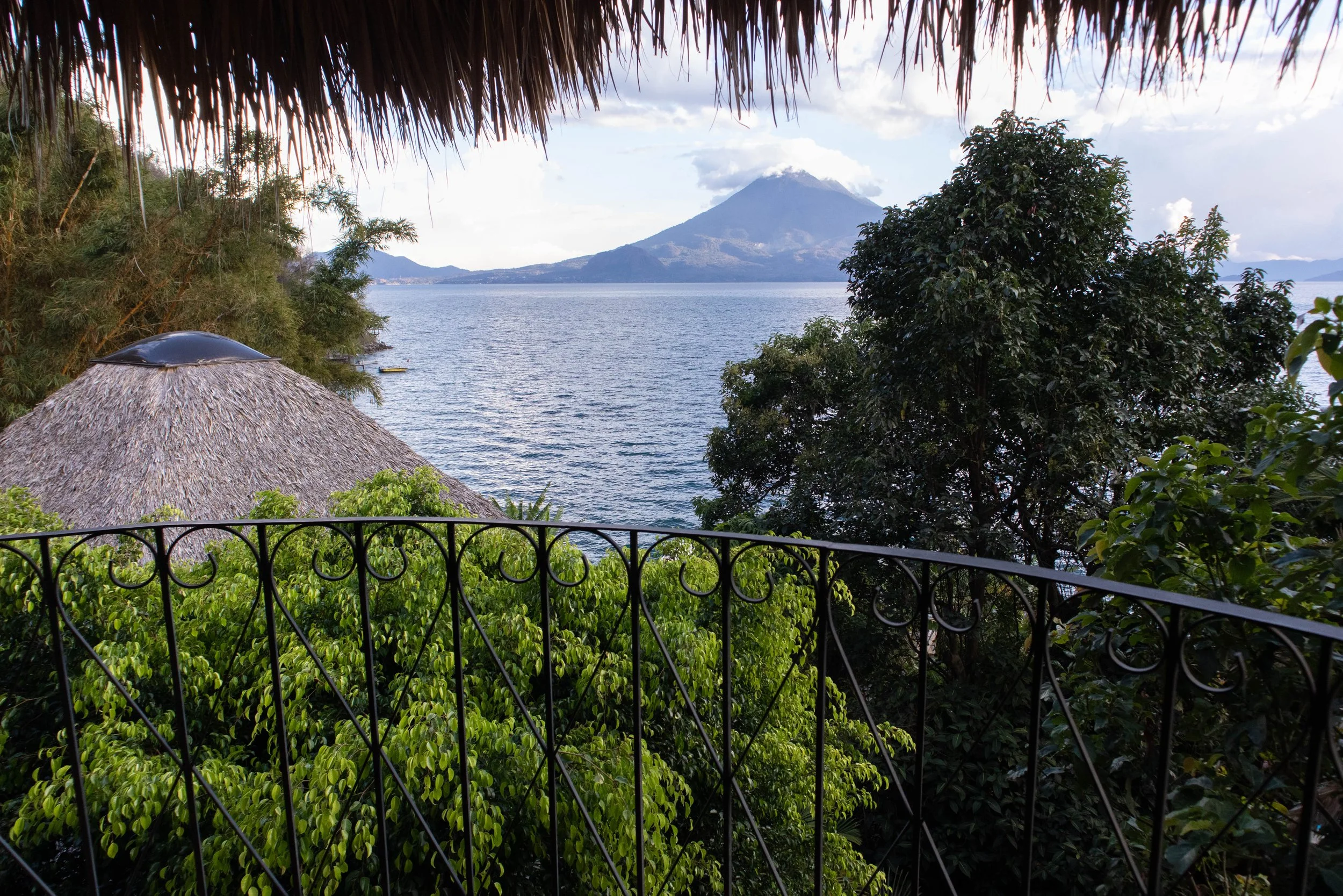 Lotus House #16 - View (1).jpg