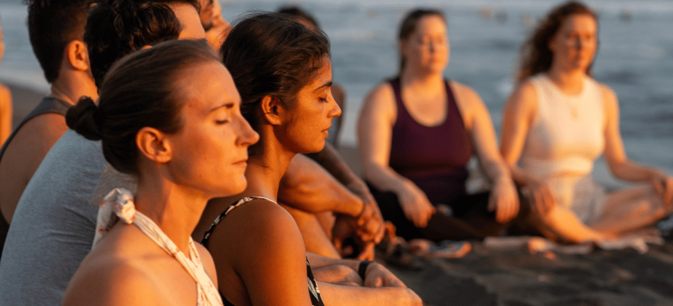 Elemental Harmony / Steph Zavala &amp; Alicia Rudolph