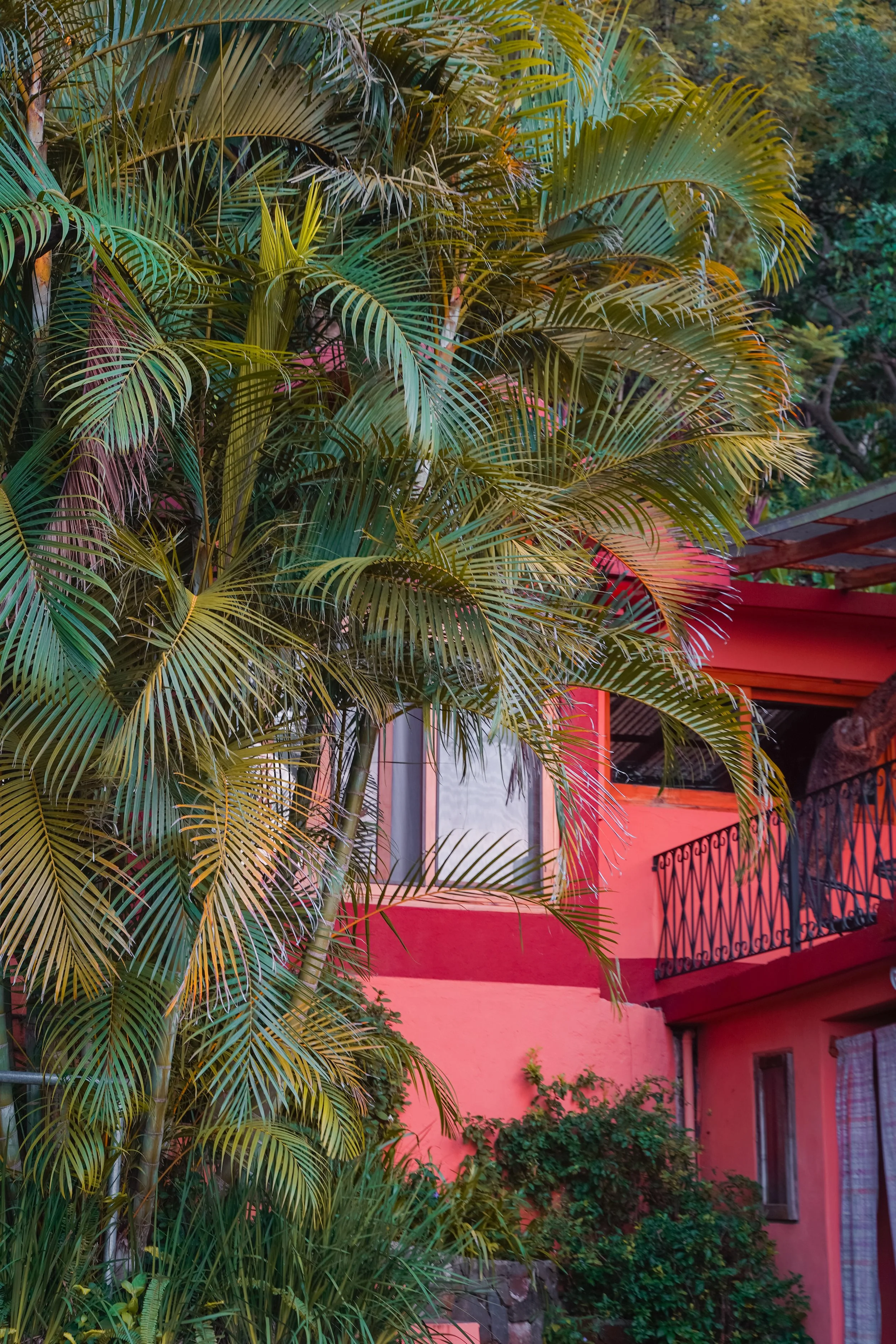 Bungalow 10 2021.jpg