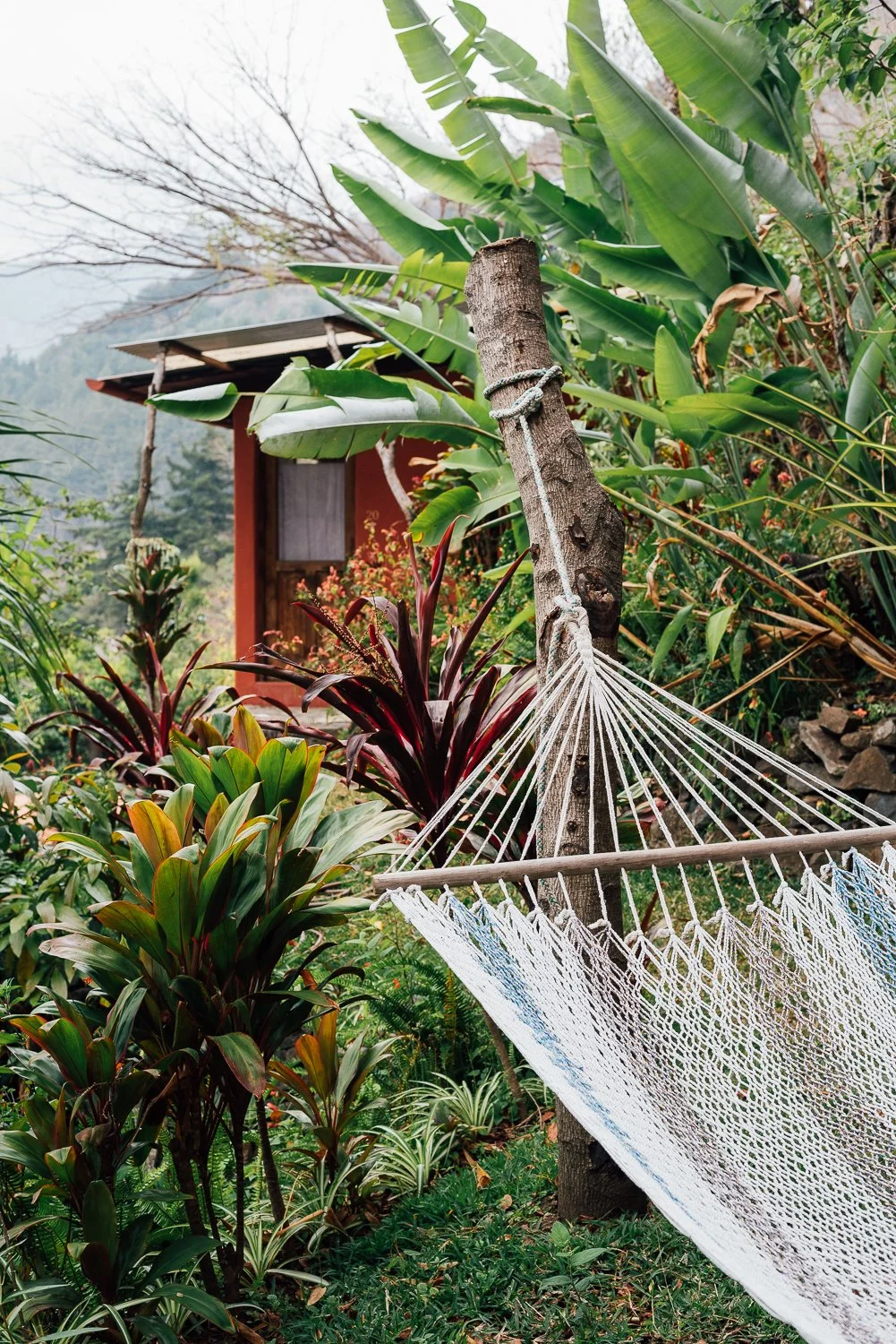 Bungalow 20 Hammock1.jpg