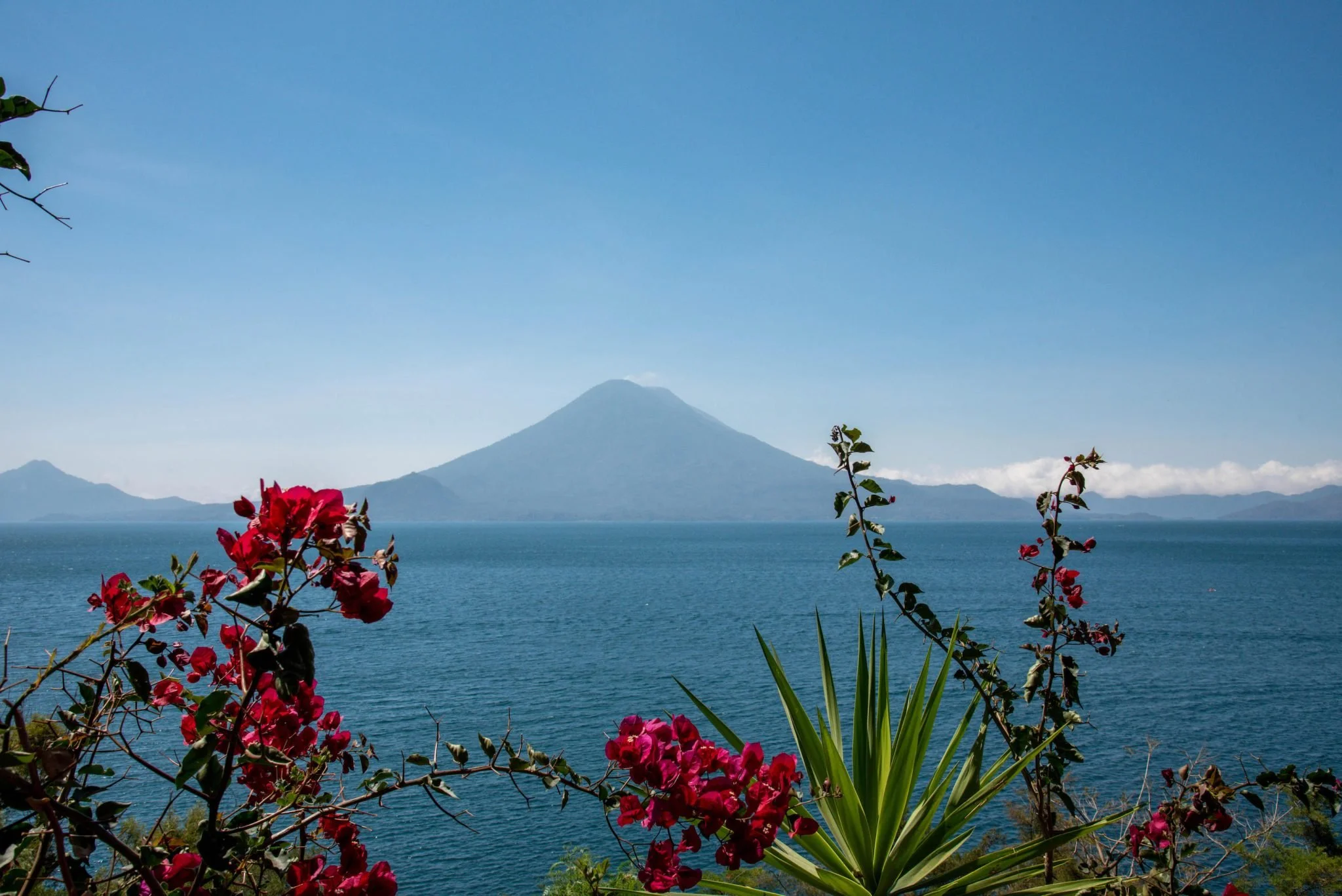 Ingeniería Interior – Inner Engineering / María Angélica Rojas