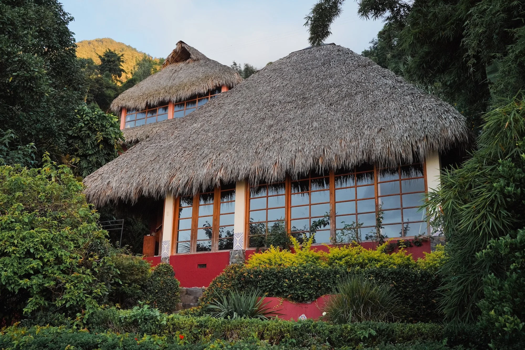 Tiger Facade 2021.jpg