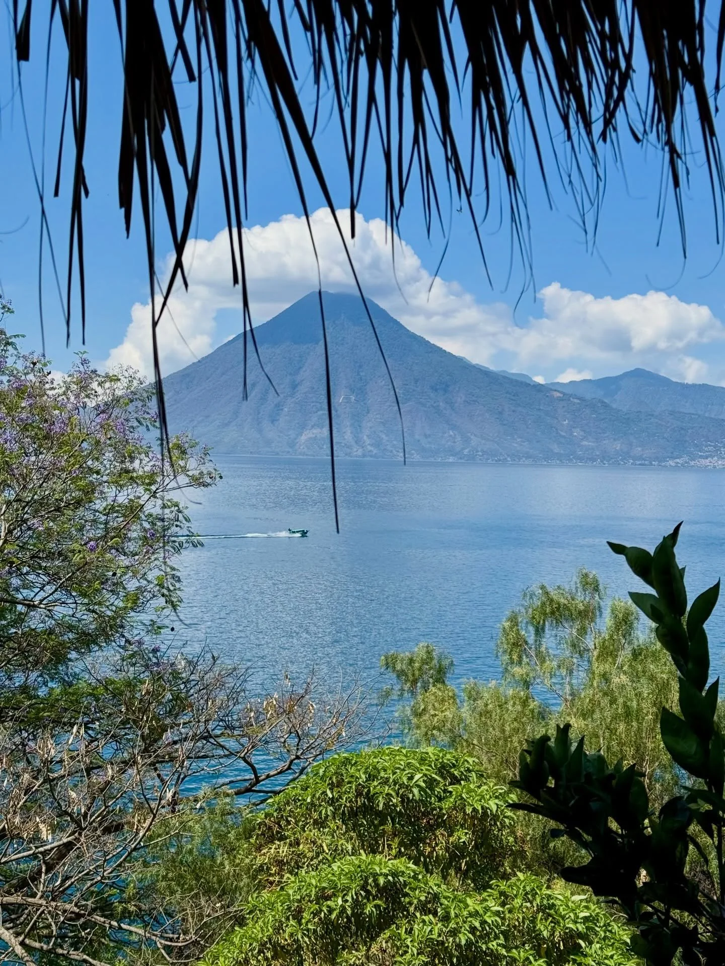 Your room with a view!
🦋🌋💙