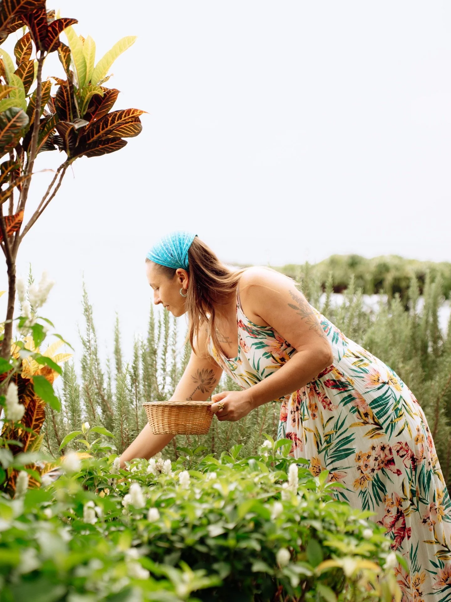 Highlighting this gathering of women on retreat together; hands in the earth and hearts wide open. 🌺

Grateful for these beautiful moments from Emily&rsquo;s recent retreat. Together these ladies were refining their yoga practice, basking in the joy