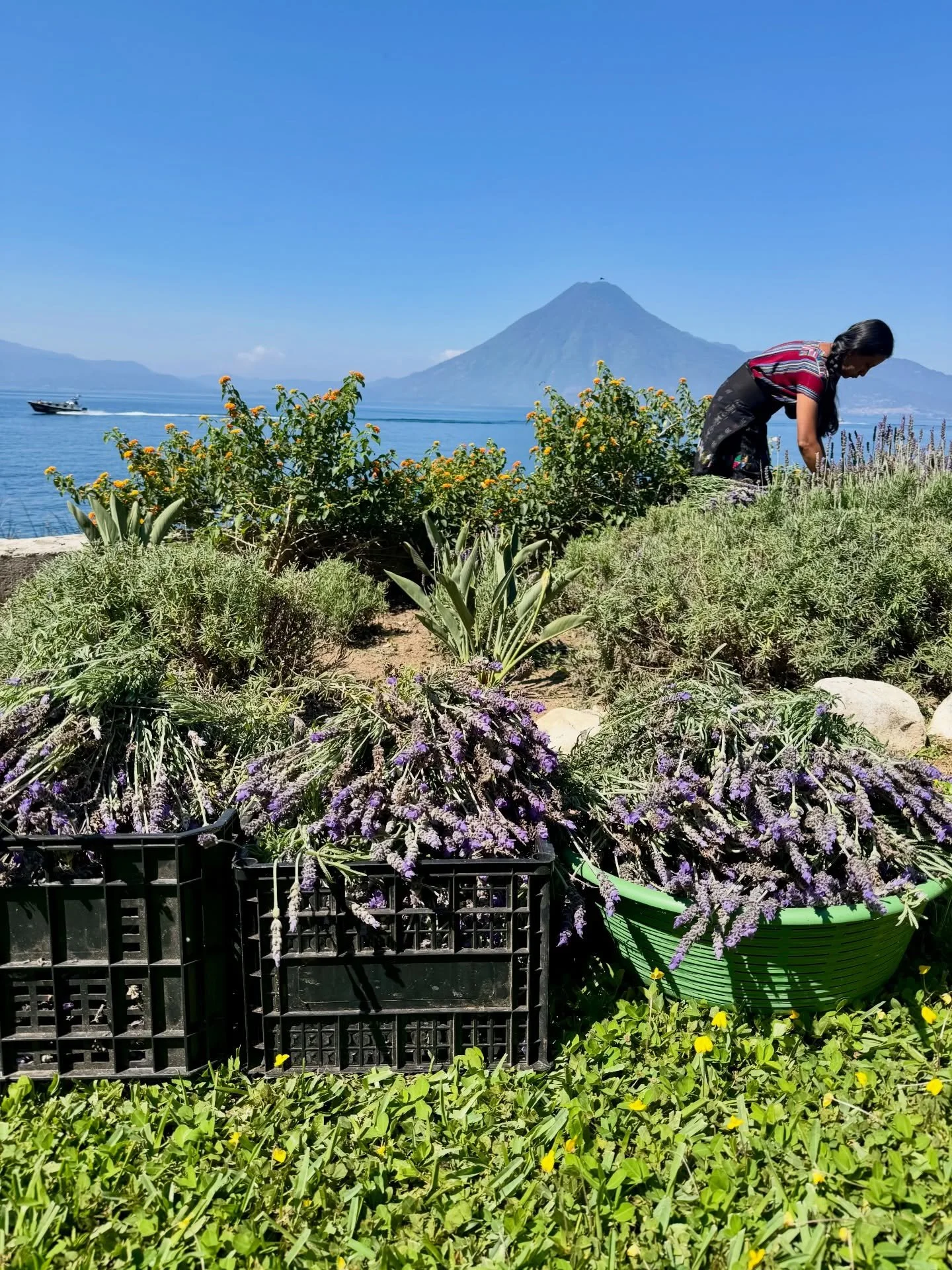 Gratitude to our entire Team Sumaya &mdash; from the garden staff to the kitchen, chefs to housekeeping, and all of our admin team.💚

We&rsquo;re so thankful for another beautiful high season, and equally grateful to now step into a well-deserved pa