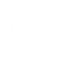 Black and white pixelated icon of a camera with a circular lens