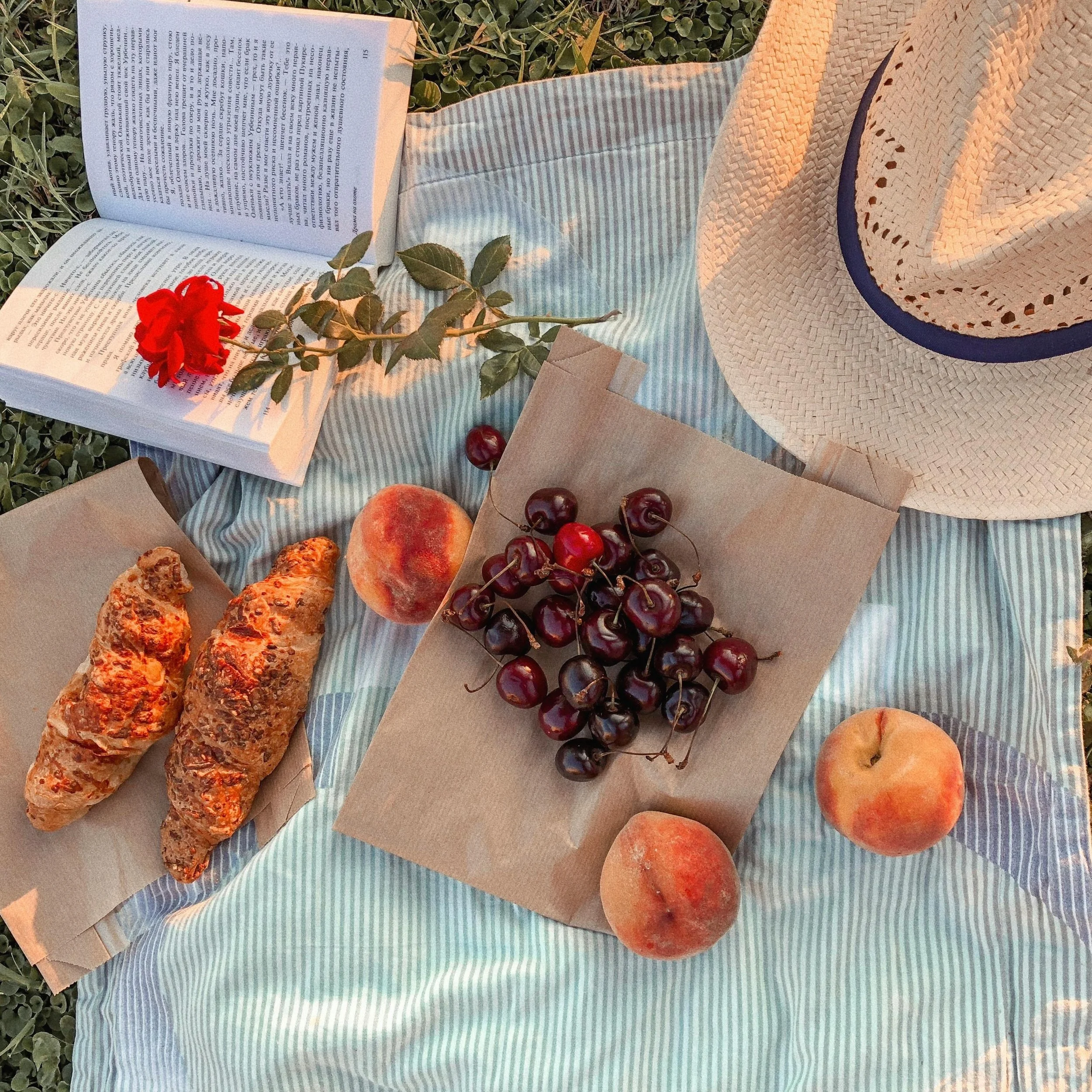 A straw sun hat with a navy blue band, an open book with Russian text, a red rose, cherries, peaches, croissants, and a paper bag on a blue and white striped cloth outdoors.