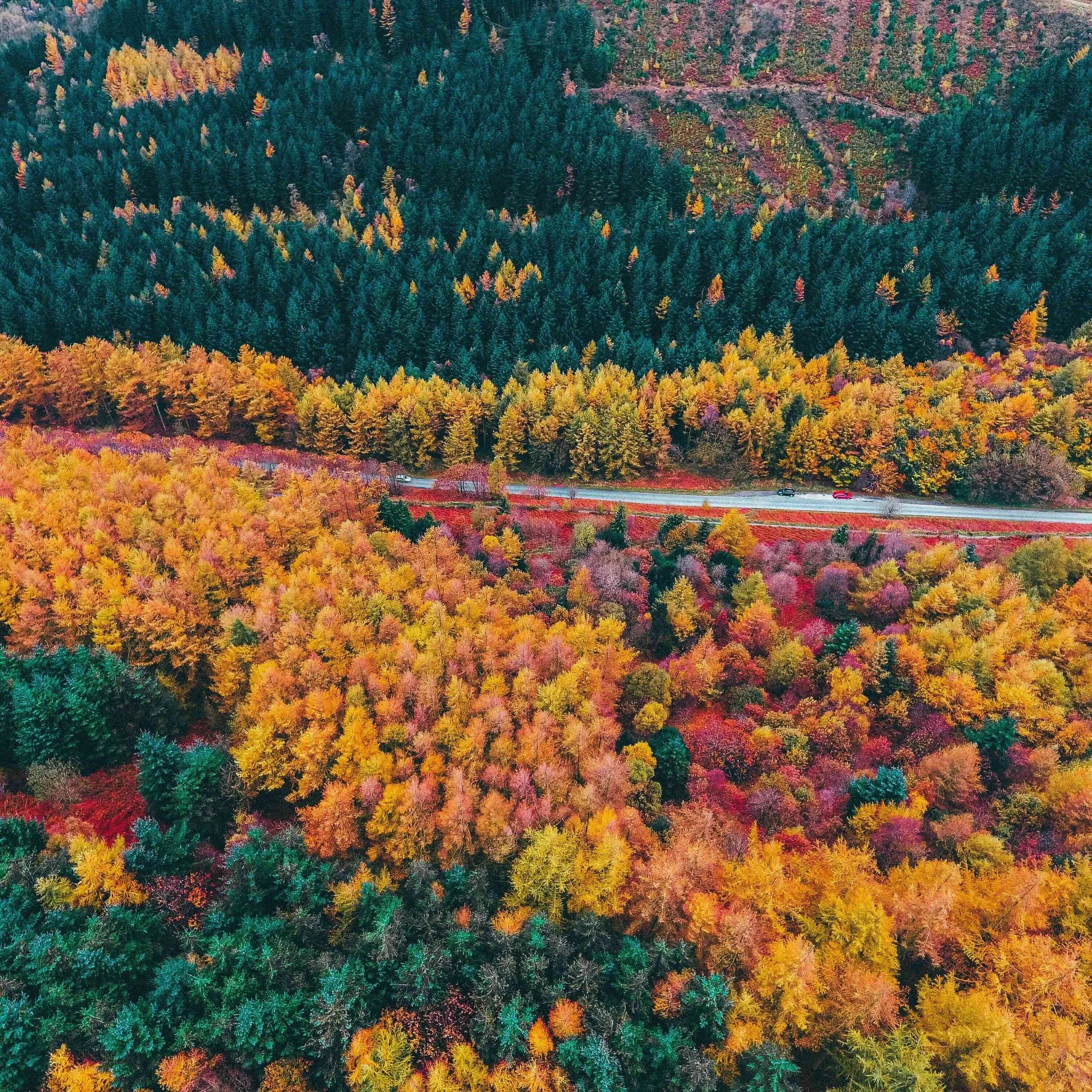 Founder burnout isn’t personal - it’s systemic. Here’s what actually helps.