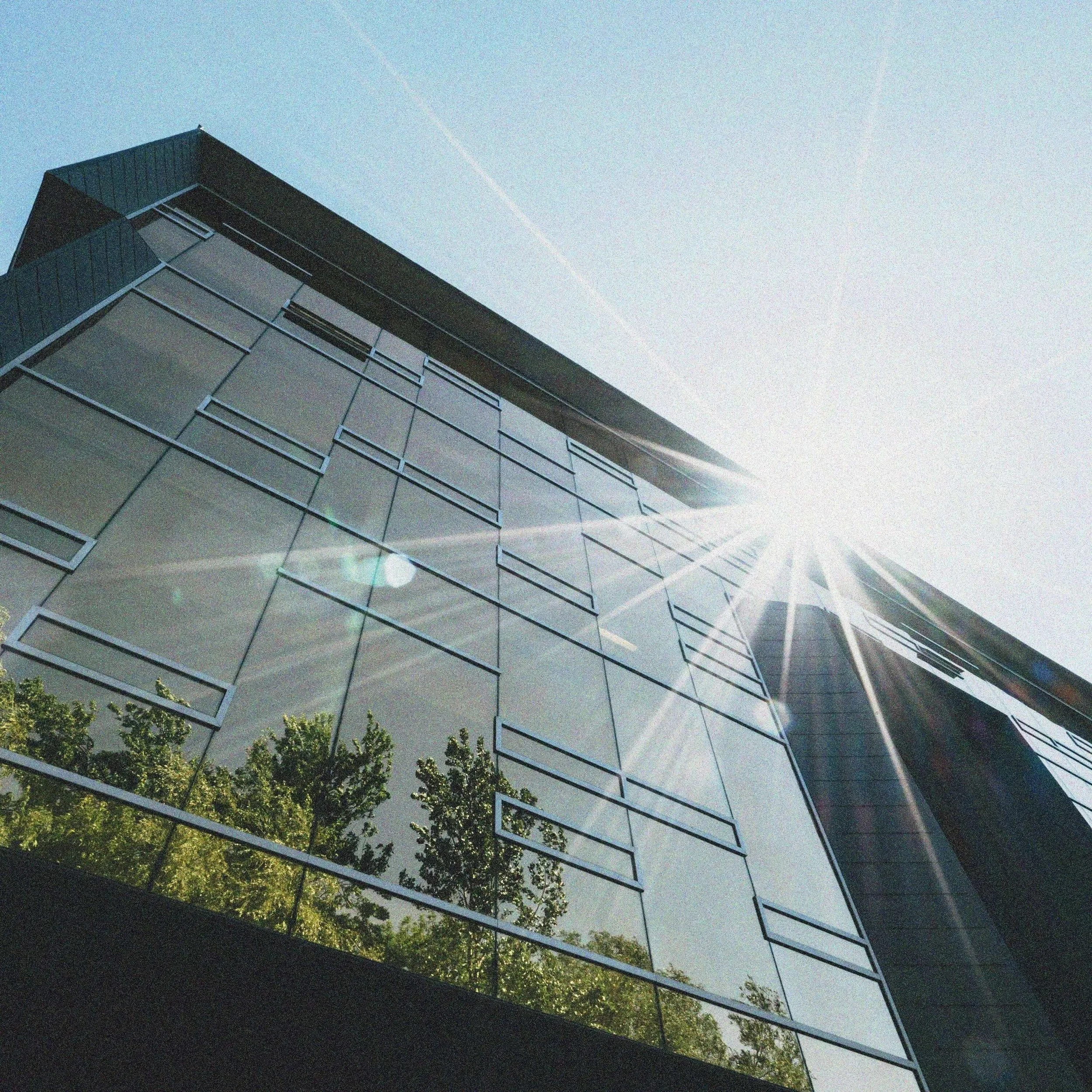 Transformational vs regenerative leadership coaching - what’s the difference, and why it matters