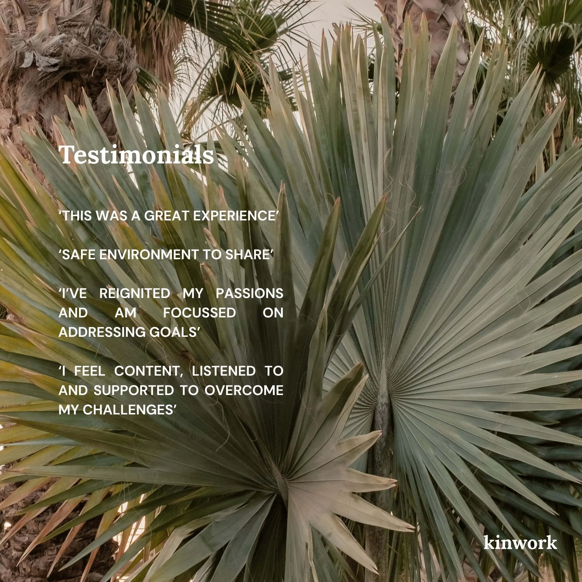 kinwork-supervisor-coaching-leadership-coaching-regenerative-coaching-icf-coaching-hcanza-regen-coach-1.jpg (Copy) (Copy) (Copy)