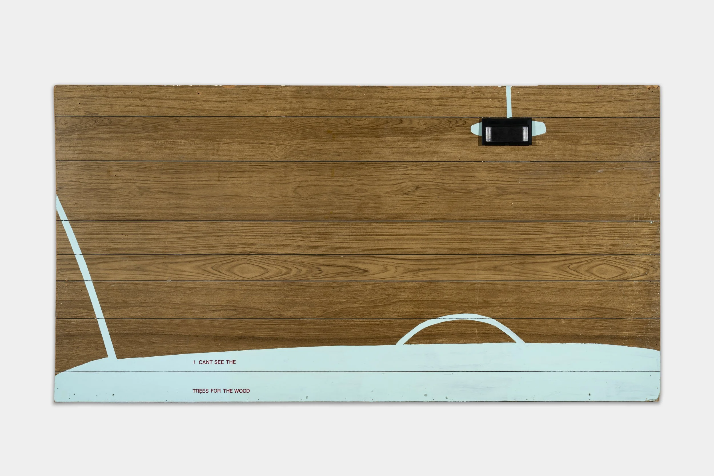 I CANT SEE THE TREES FOR THE WOOD, 1997