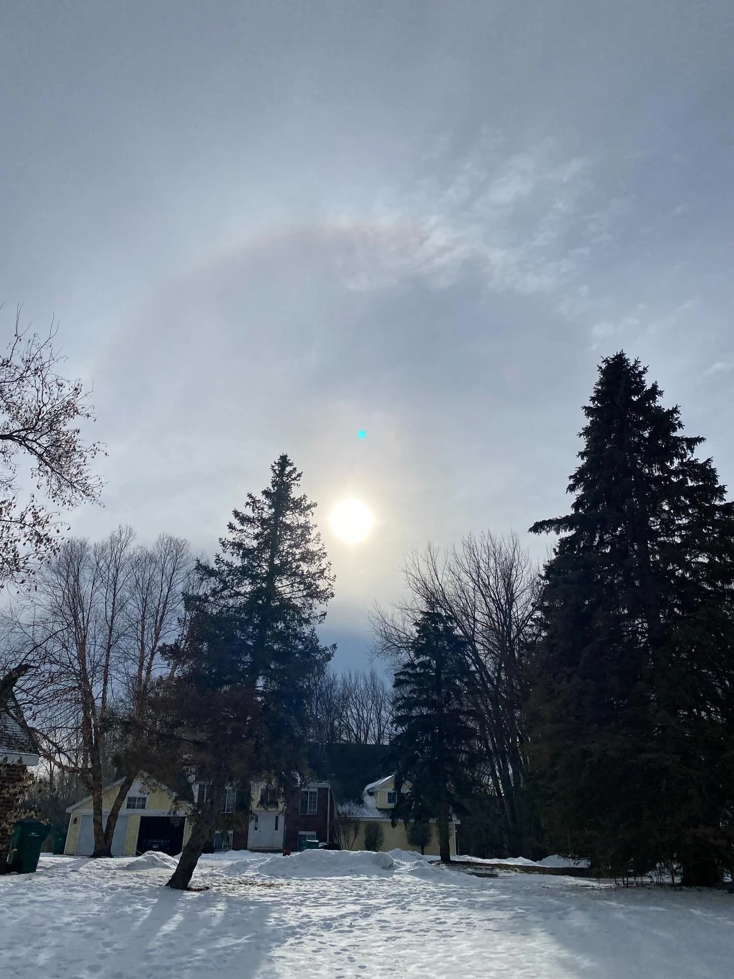 On this day 1/11/2026 ✨1111✨portal~ I felt the energy of the sun call me outside to witness the most beautiful and peaceful sun halo ✨🌞✨

Amidst the depths of compost, there too is light. ✨

No matter where you are on your 
s🌞l path today, know the