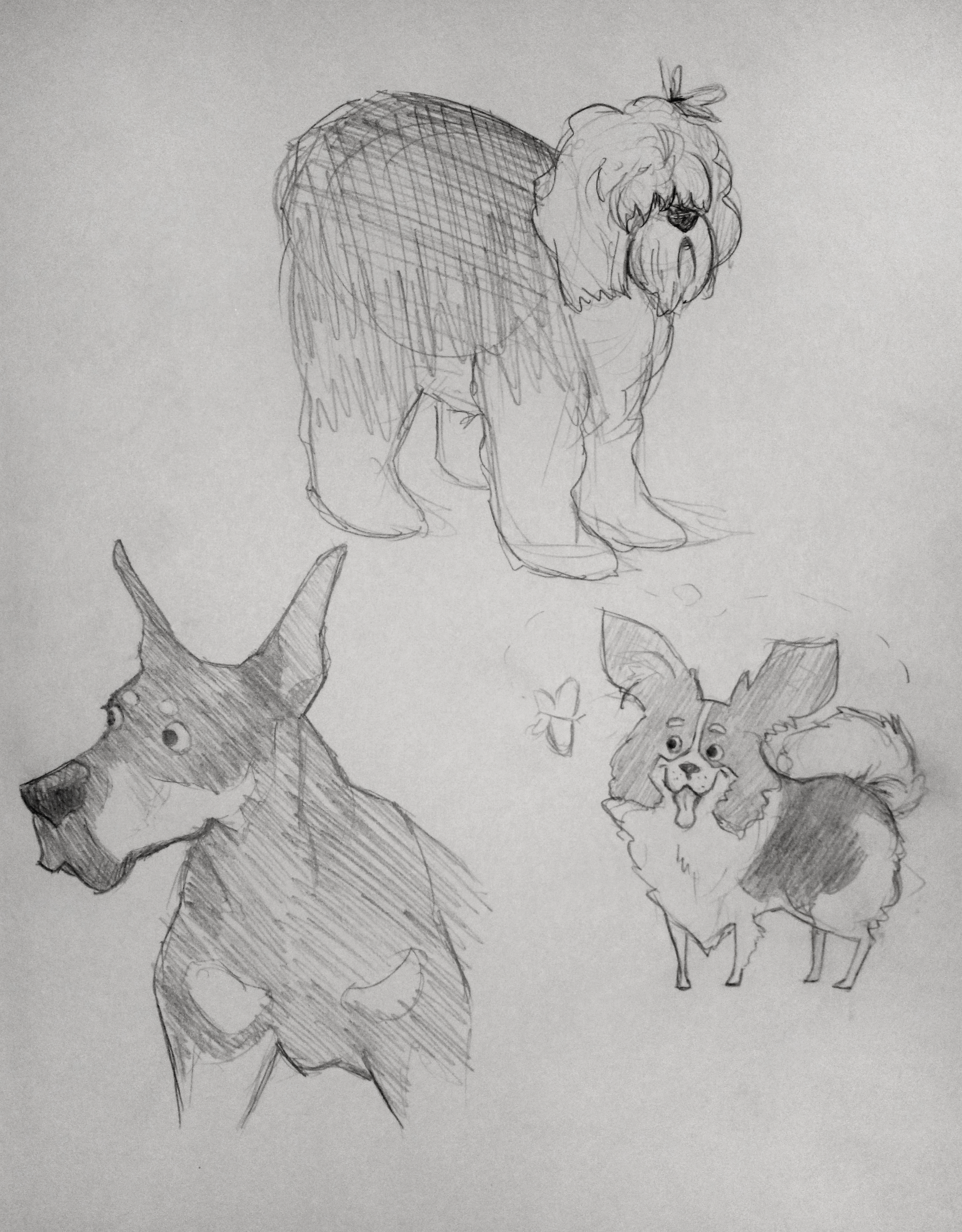 dog_sketch_1.png