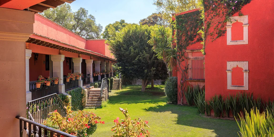 real de minas 2.webp