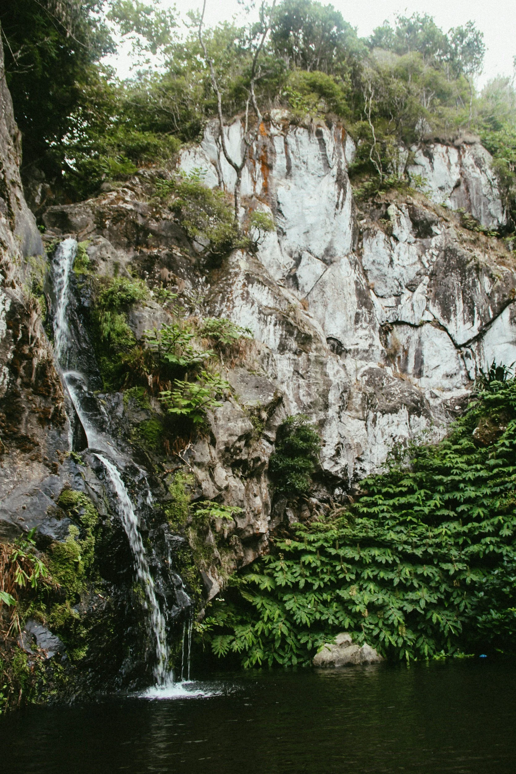 Sustained momentum and scalable growth for MSP organizations