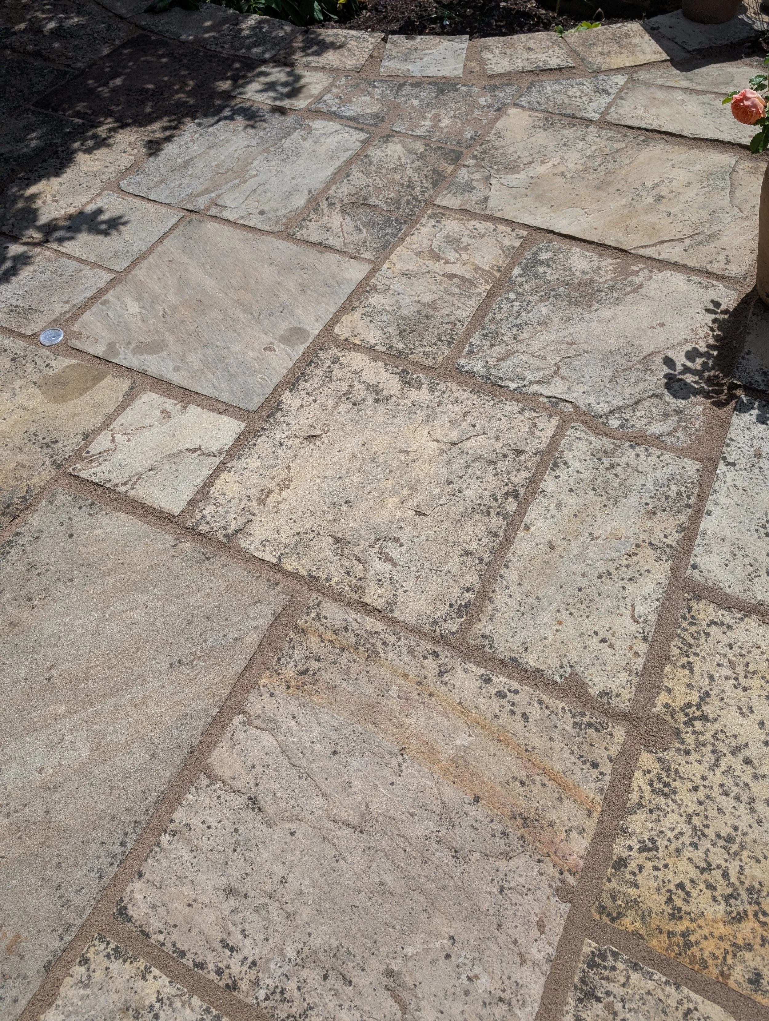Close-up of a stone patio with beige and gray patterns, partially shaded with shadows from nearby plants and a pink flower in a pot on the right.