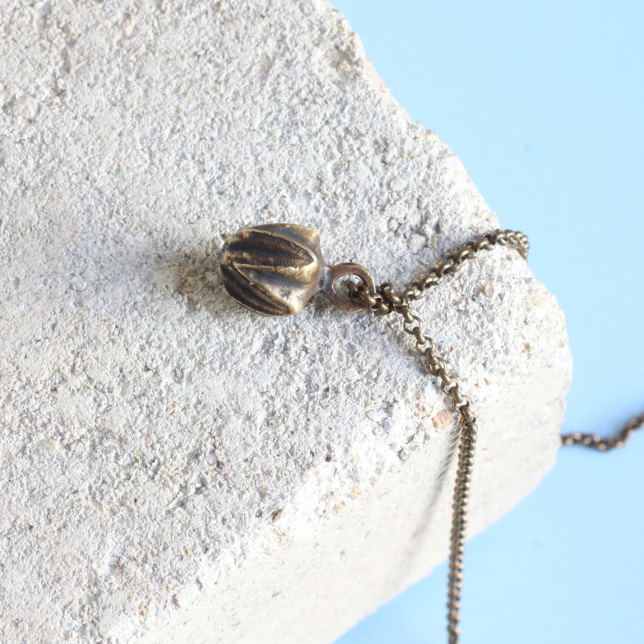 Blastoid Necklace Brass:brass 4.jpg