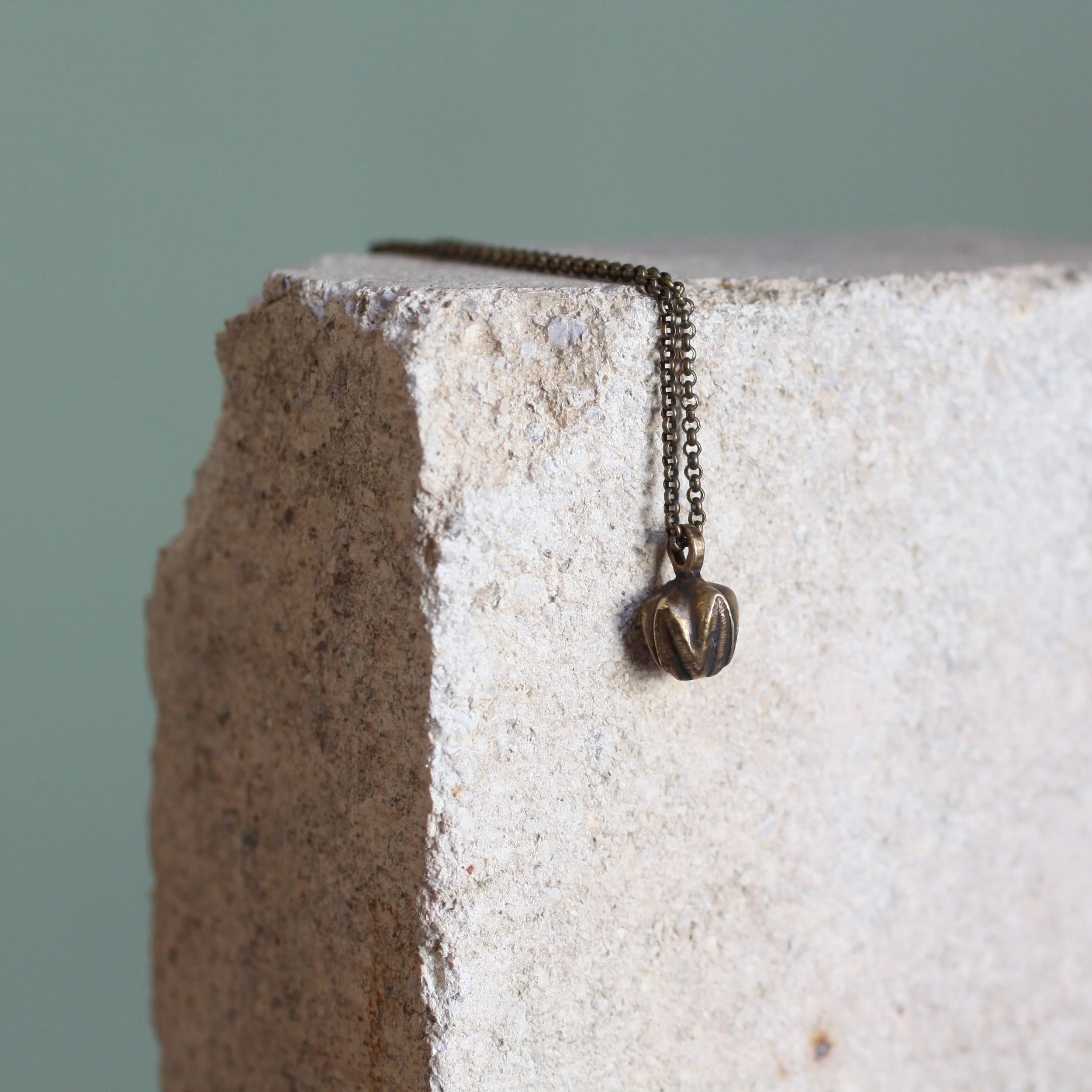 Blastoid Necklace Brass:Brass 1.jpg