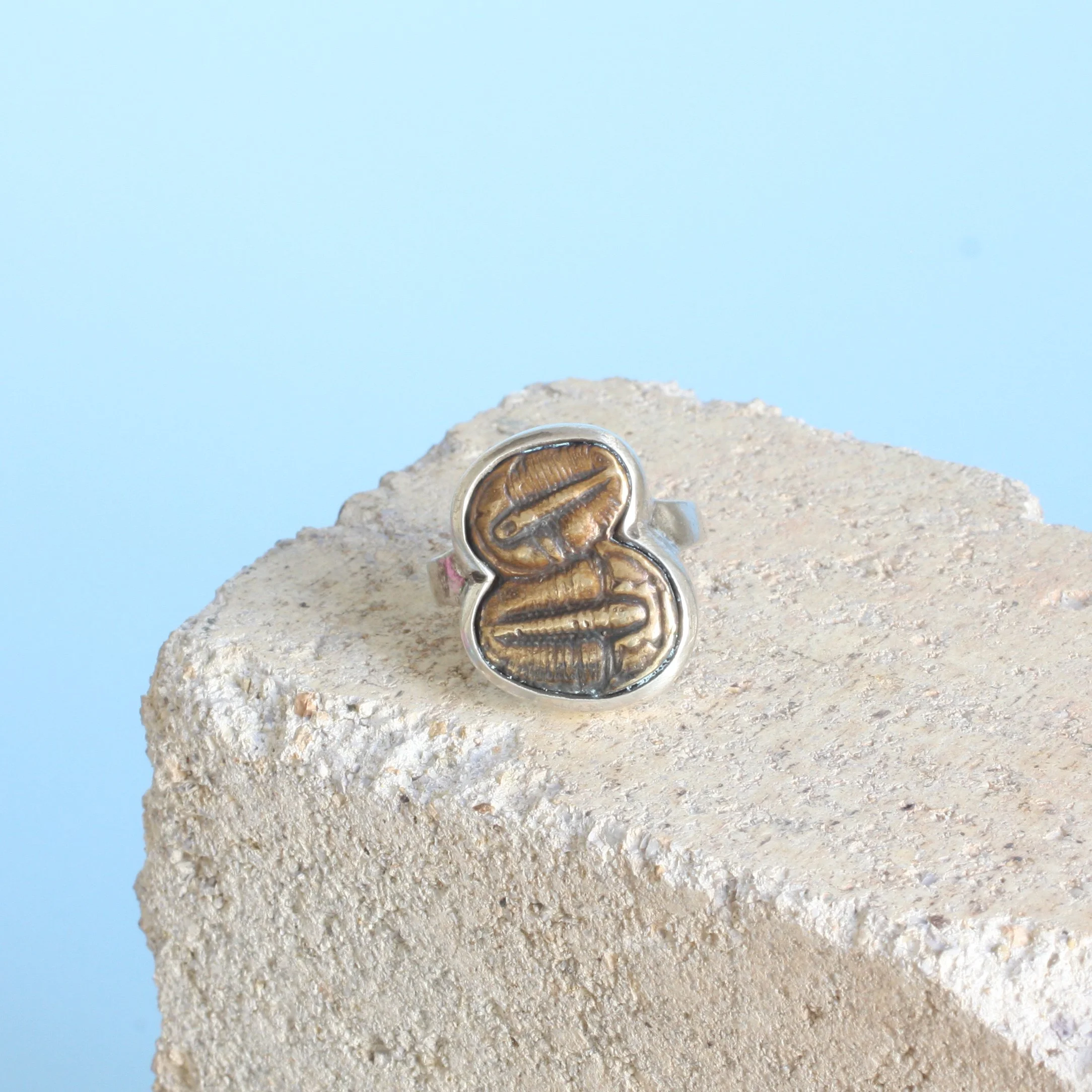 Ontogenesis Ring 7.jpg