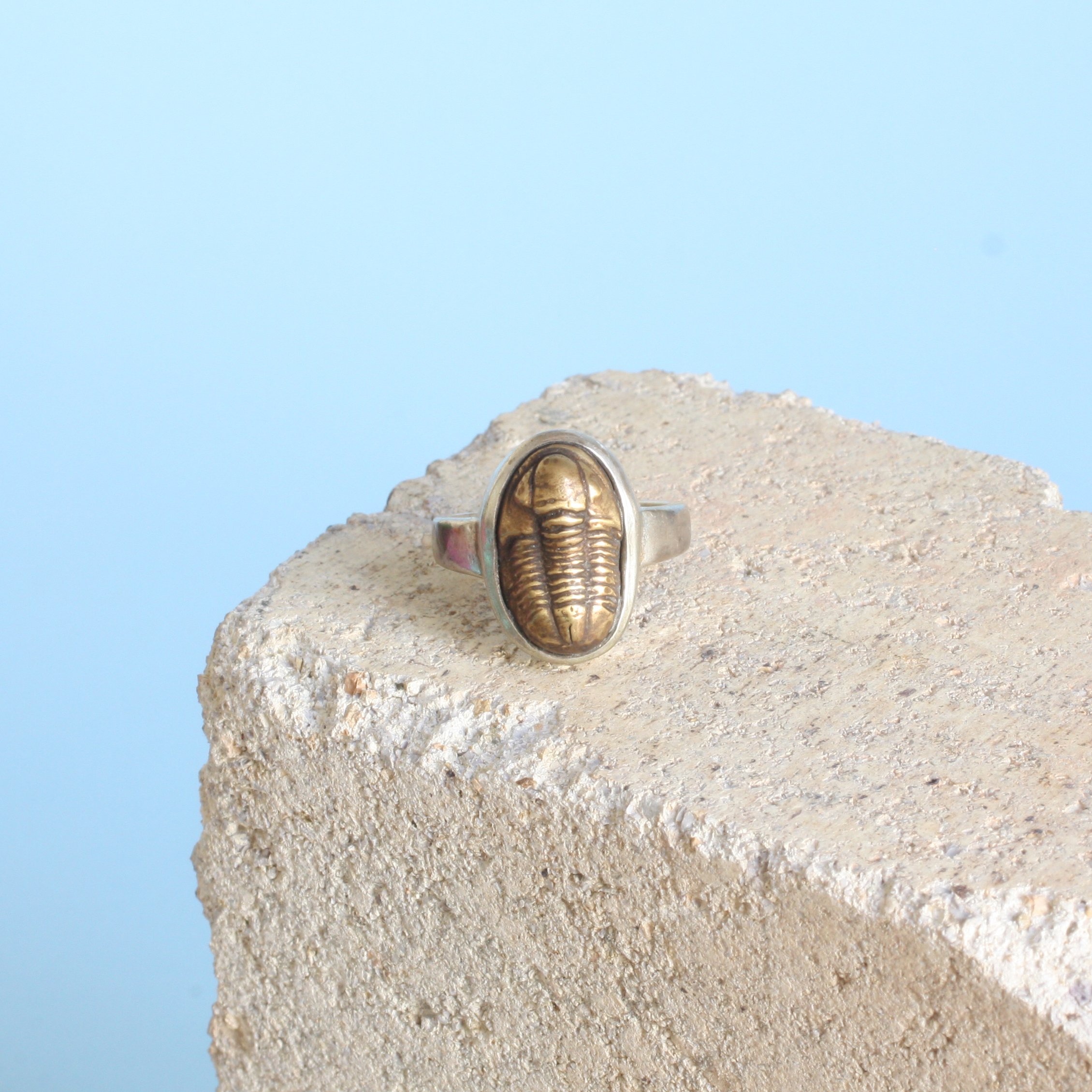 Iapetus Ring Narrow 5.jpg