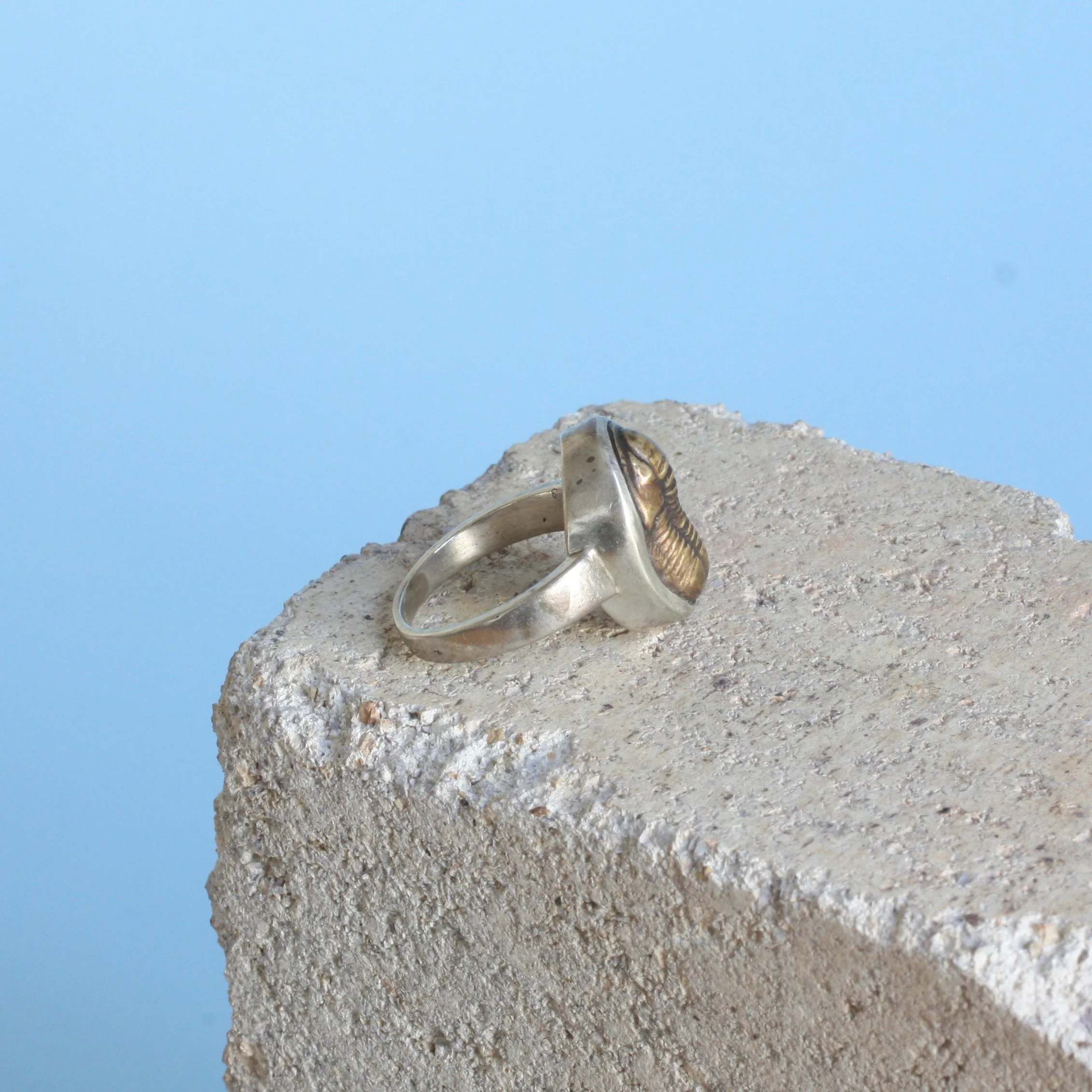 Iapetus Ring Narrow 8.jpg