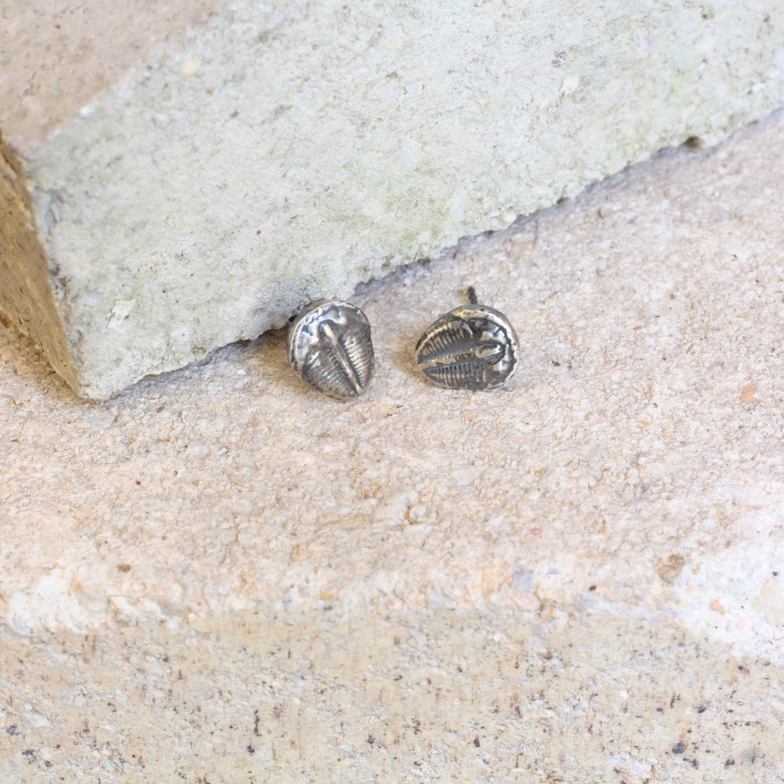 Ecdysis Earrings Silver 1.jpg