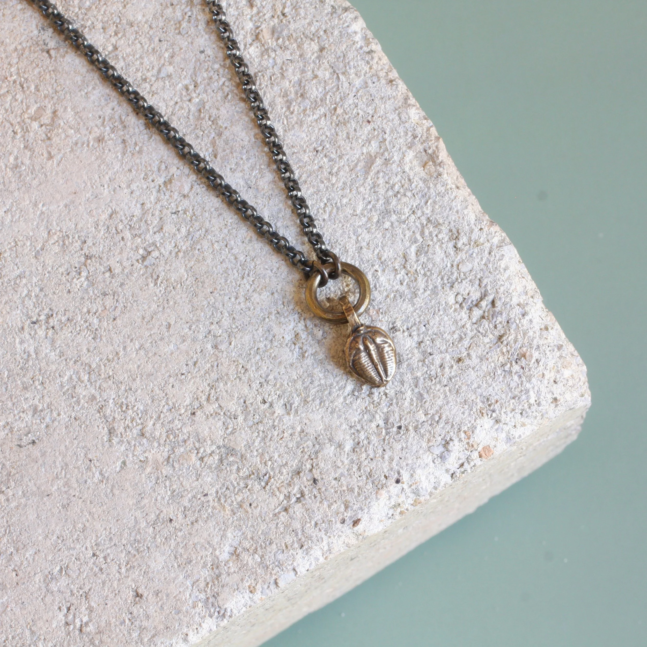 Ecdysis Necklace Brass:Silver 2 .jpg