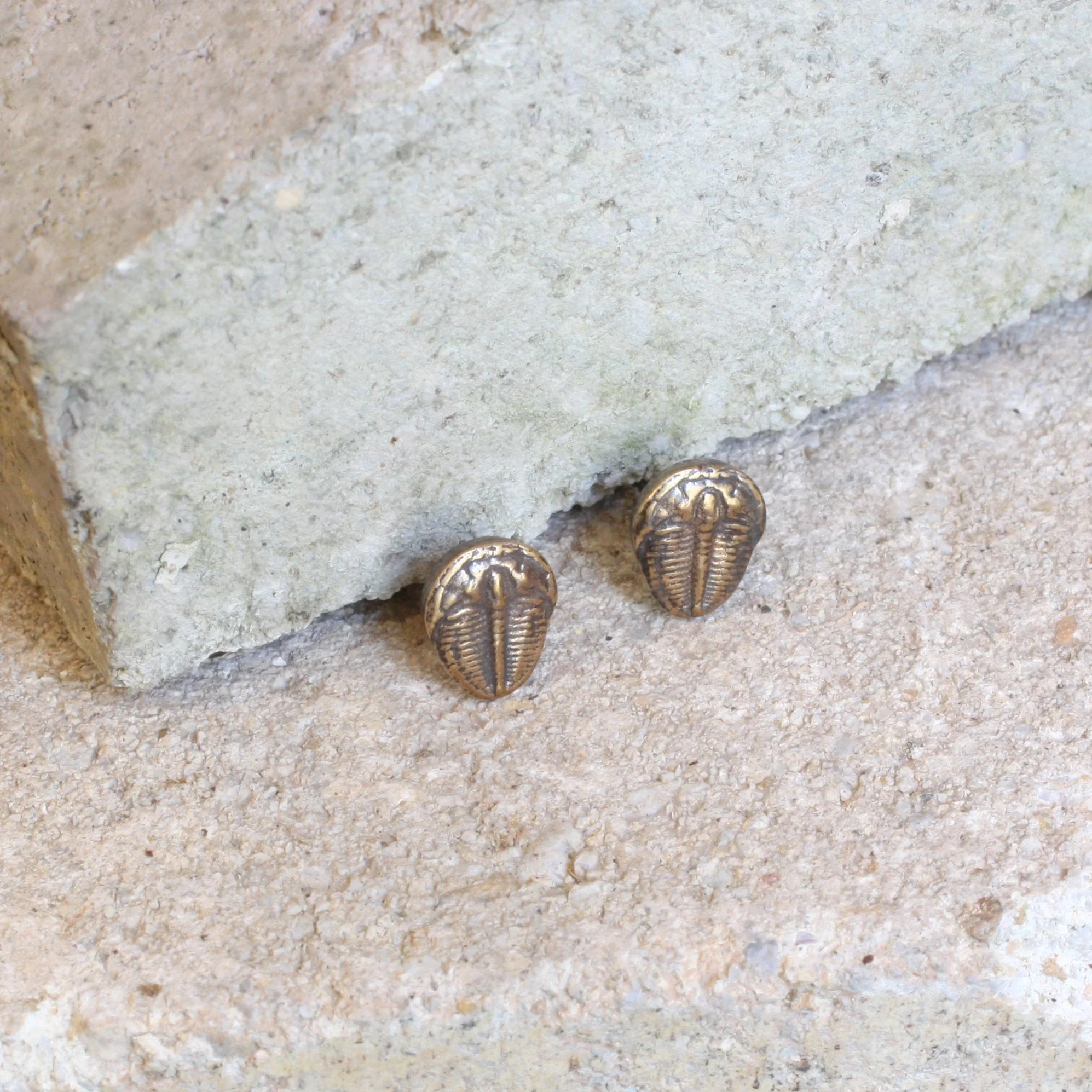 Ecdysis Earrings BRass 2.jpg