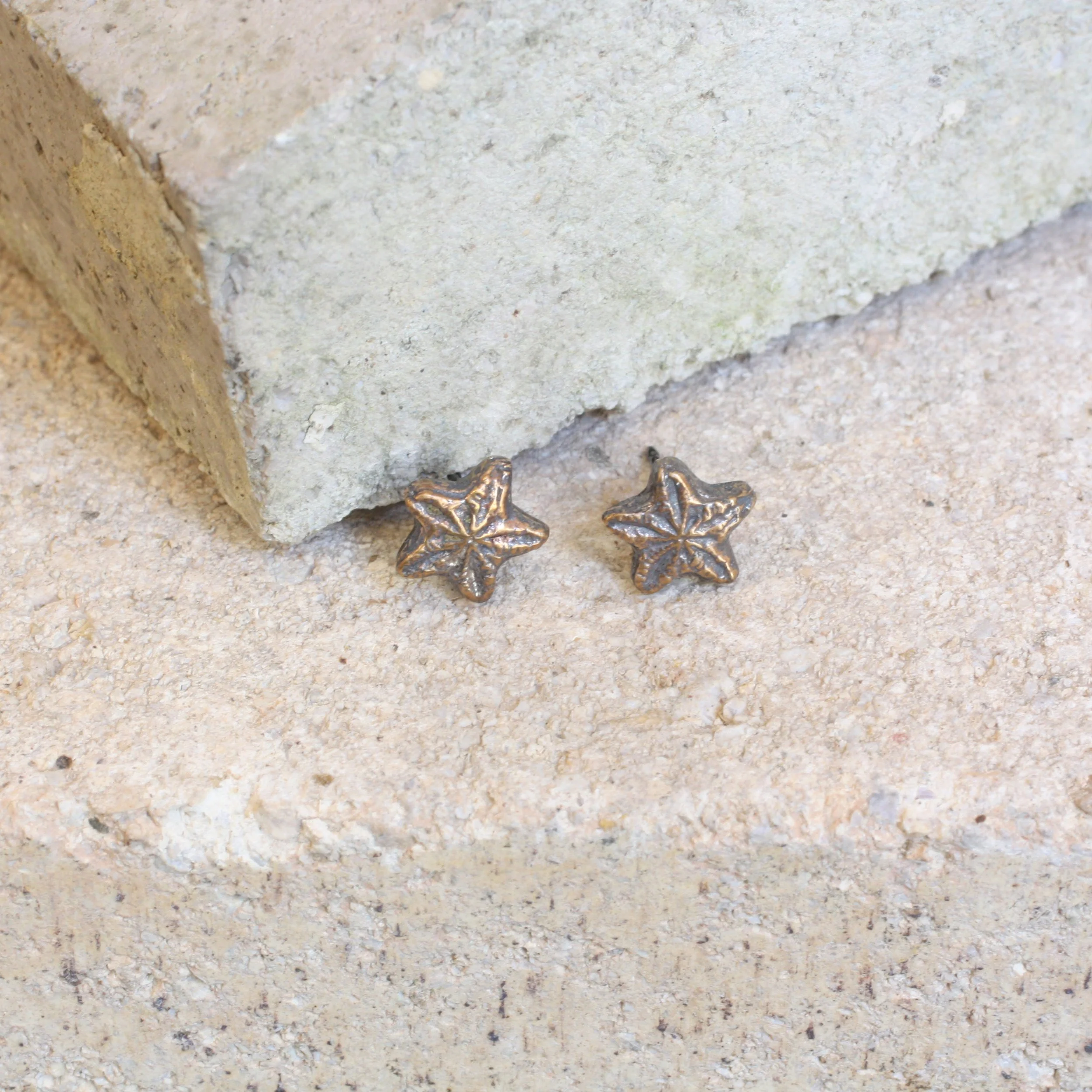 Crinoid Star Stud Earrings